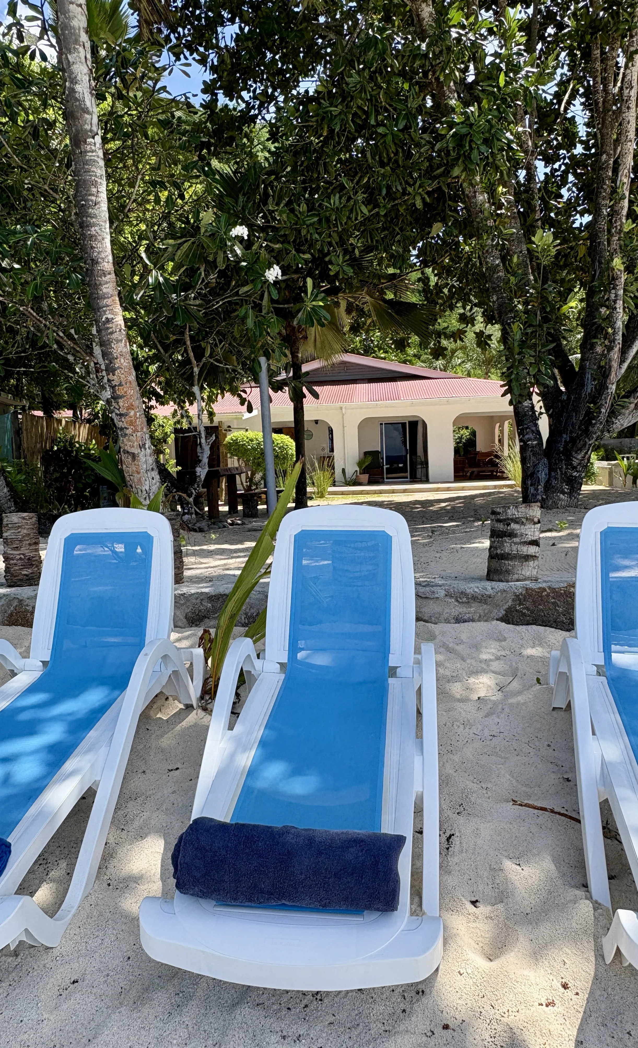 loungers with beach towels on beach.JPG