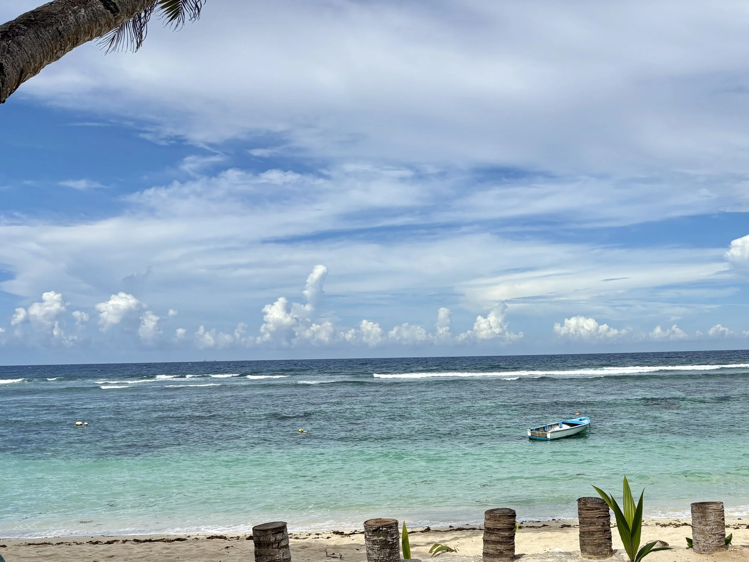 view from garden of anse forbans.JPG