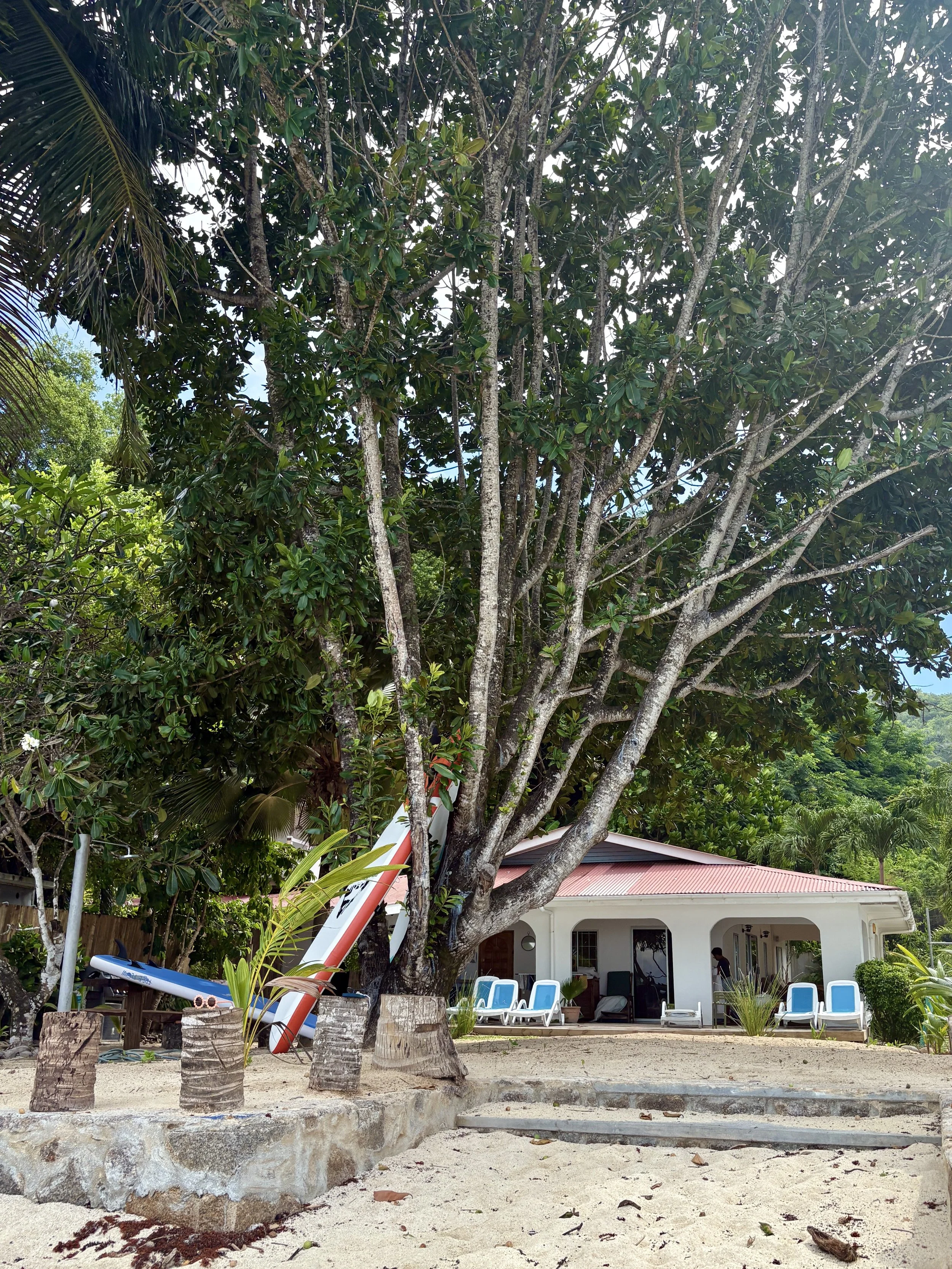 beach house direct access to beach.JPG