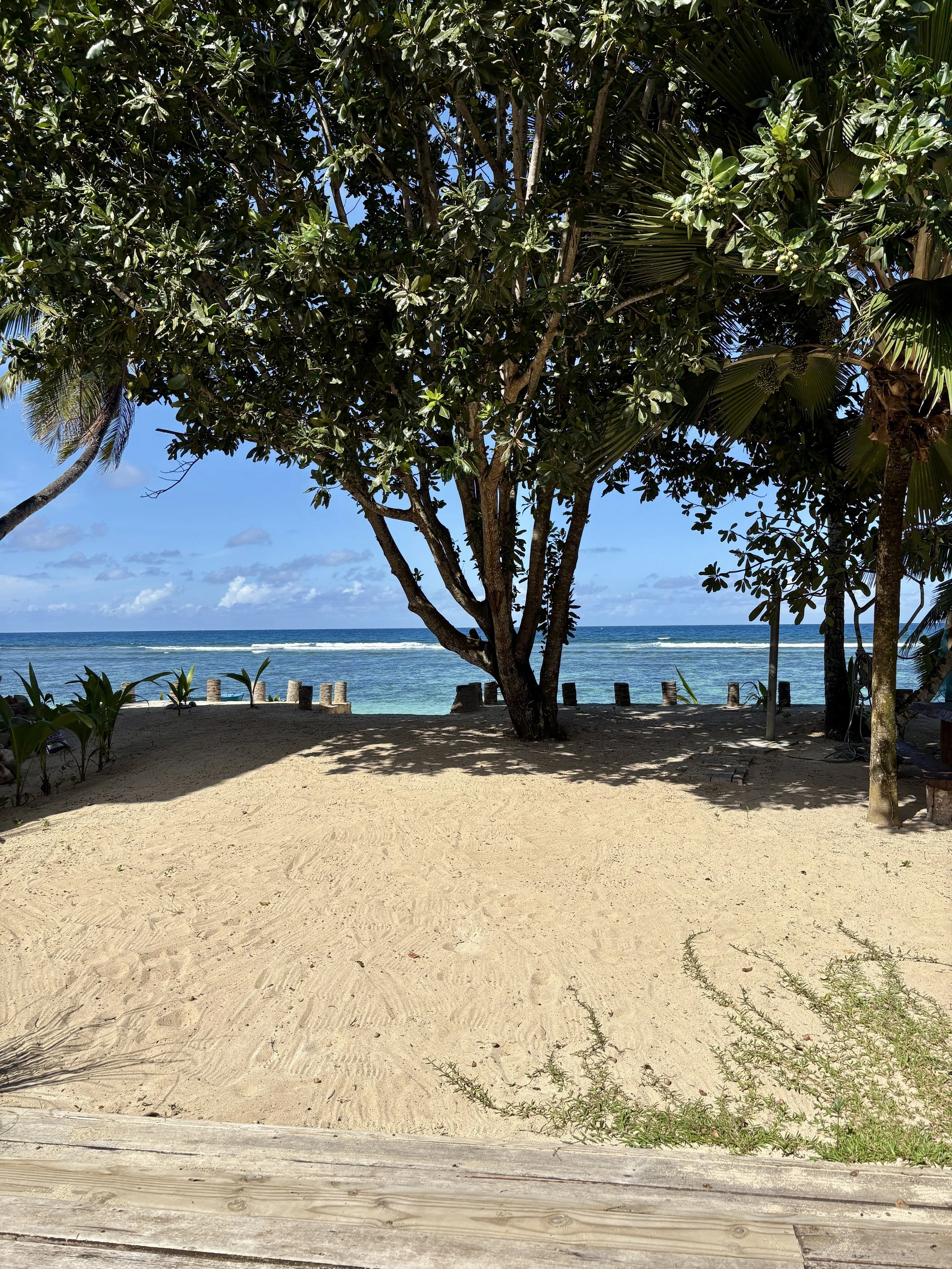 terrace view of anse forbans bay.JPG