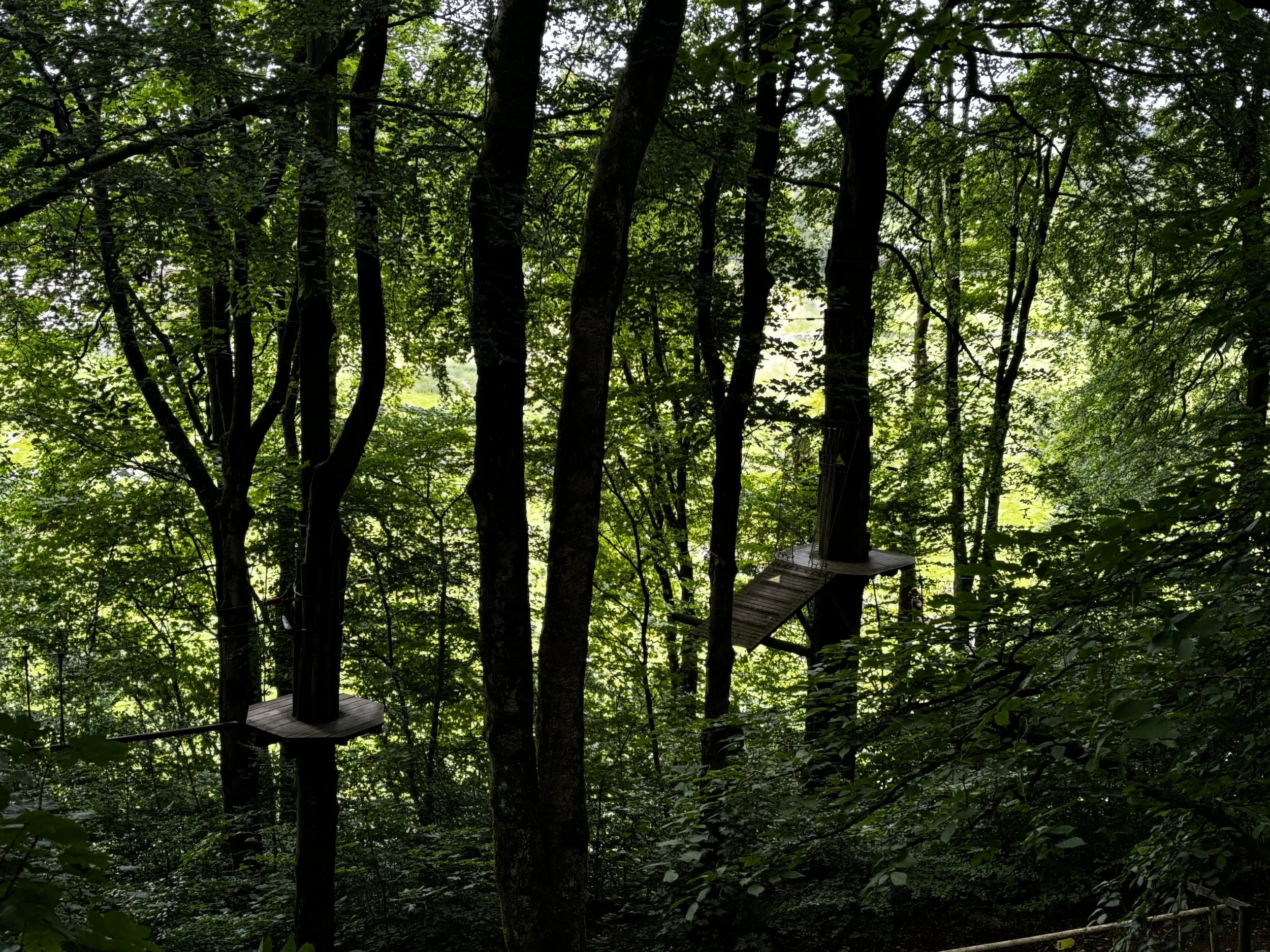 The high-ropes courses and forest platforms of Go Ape Buxton, located in Grin Low Woods just a short walk or 2-minute drive from our large holiday home.