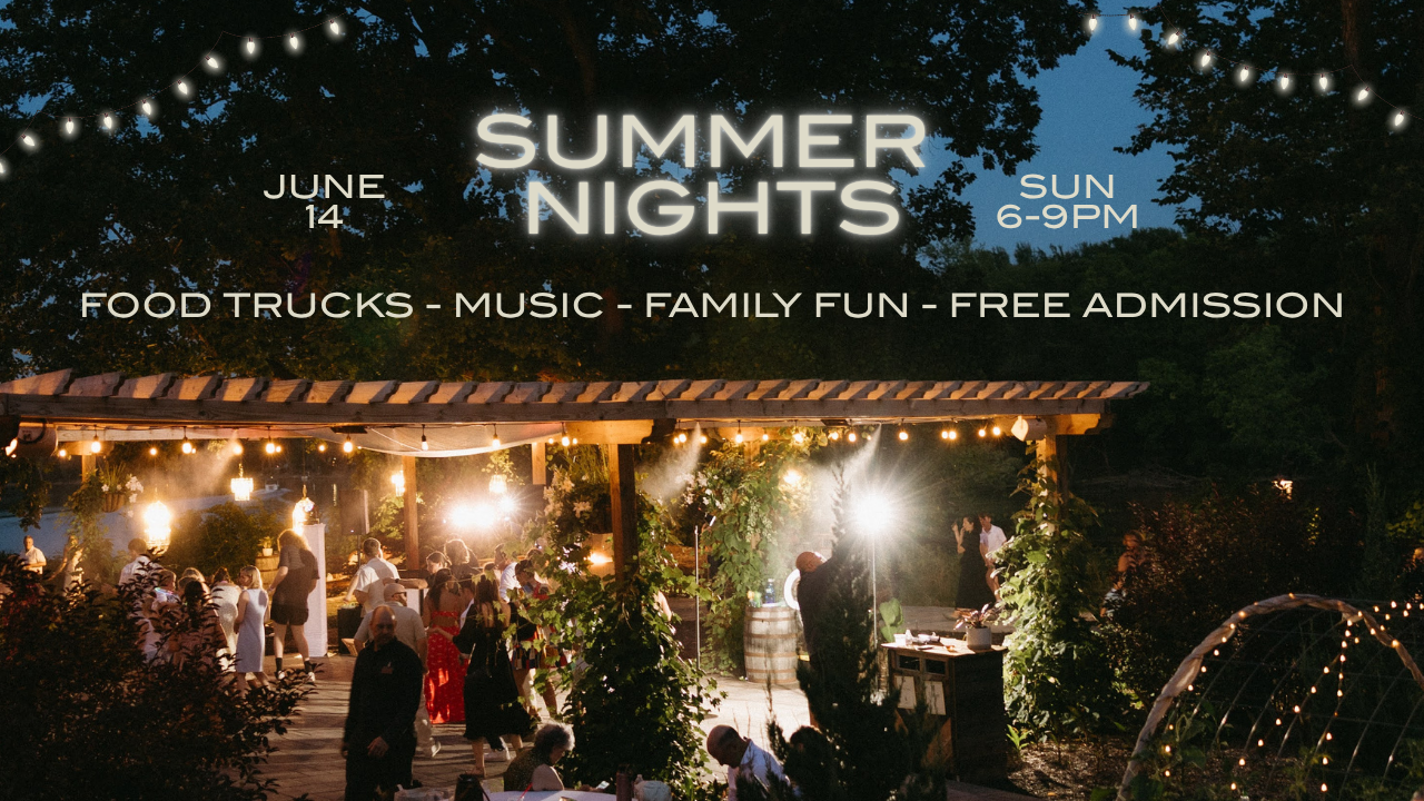 Summer Nights!