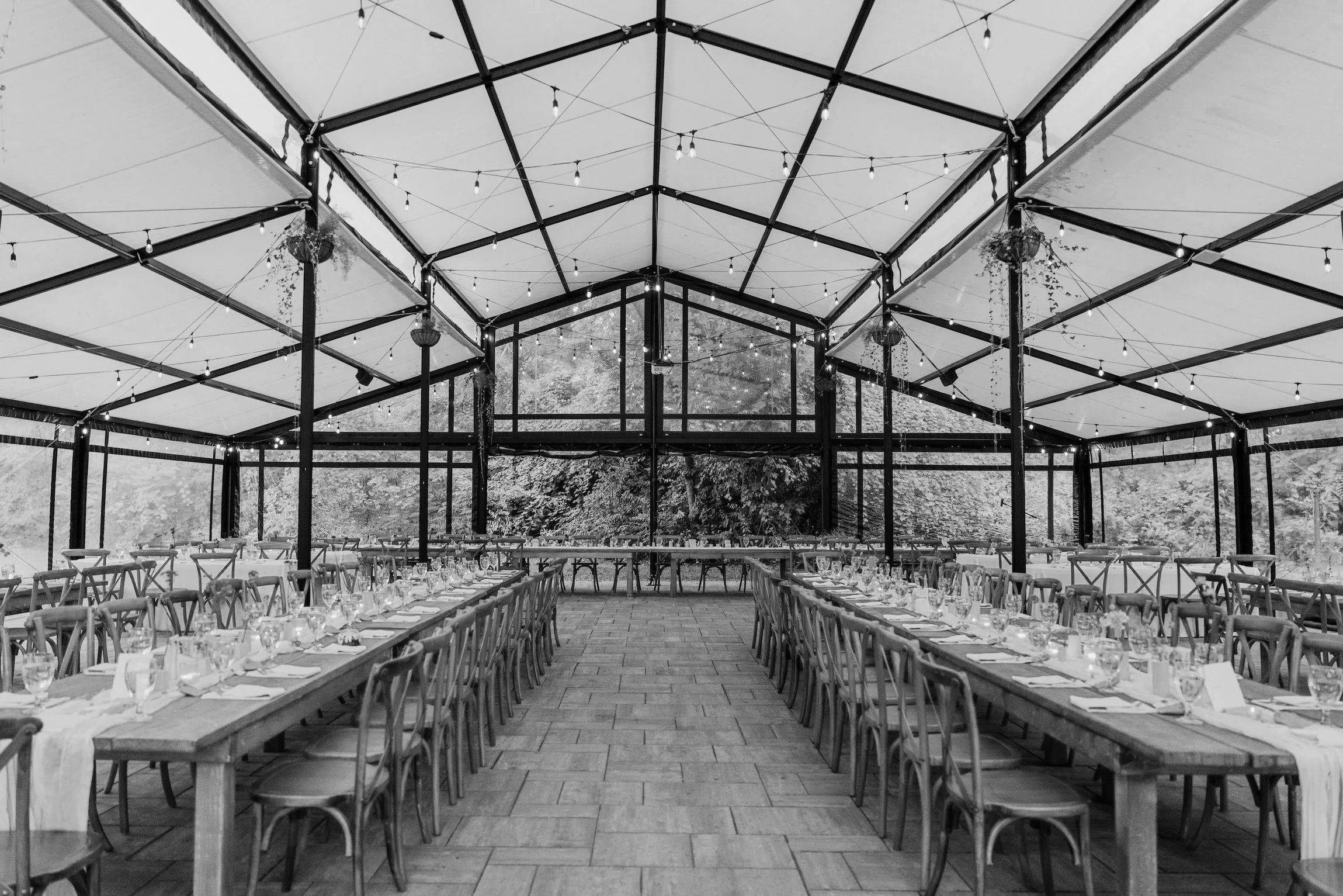 Black and white photo of an outdoor event tent with string lights, long dining tables set with glasses, plates, and napkins, surrounded by wooden chairs in a natural setting.