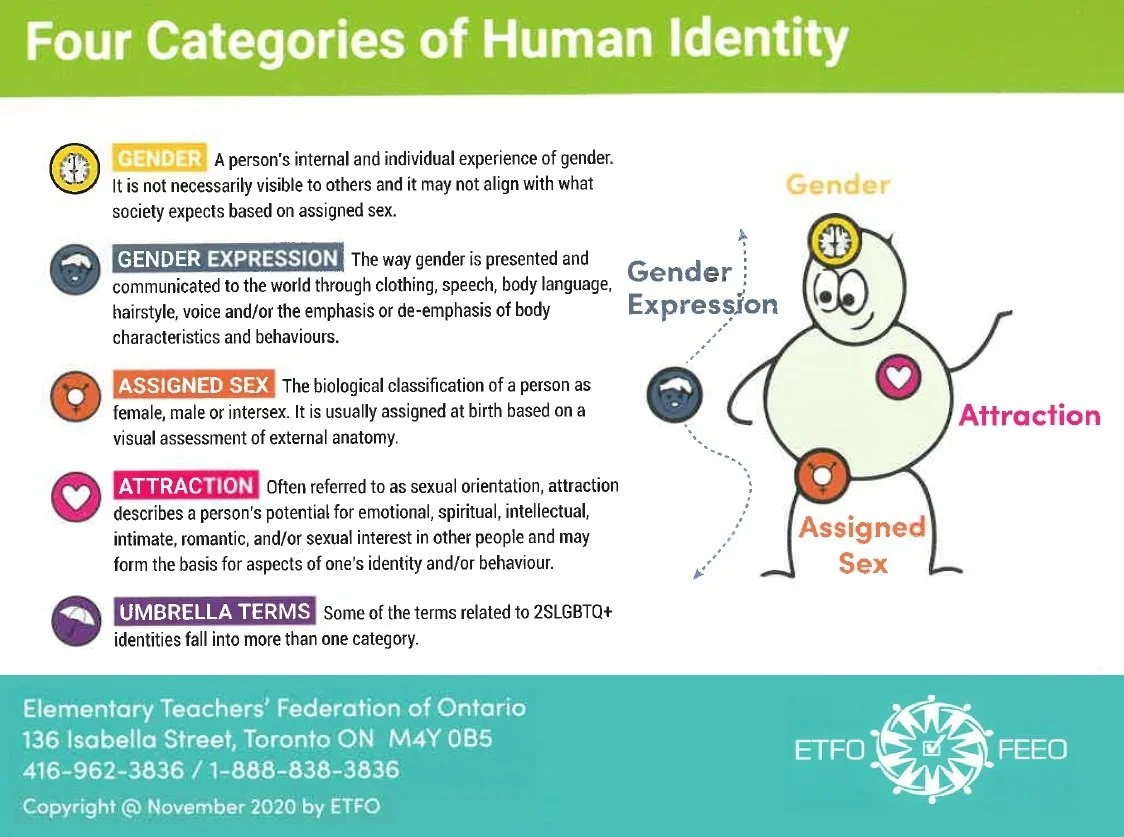 ETFO Gender Bread Man