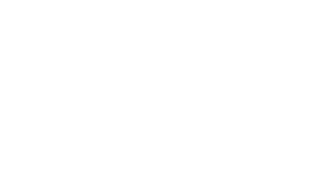 Das Logo von Bingo Systems mit dem Slogan "We empower tomorrow" in weiß auf schwarzem Hintergrund, bestehend aus einem stilisierten Blitz und dem Text.