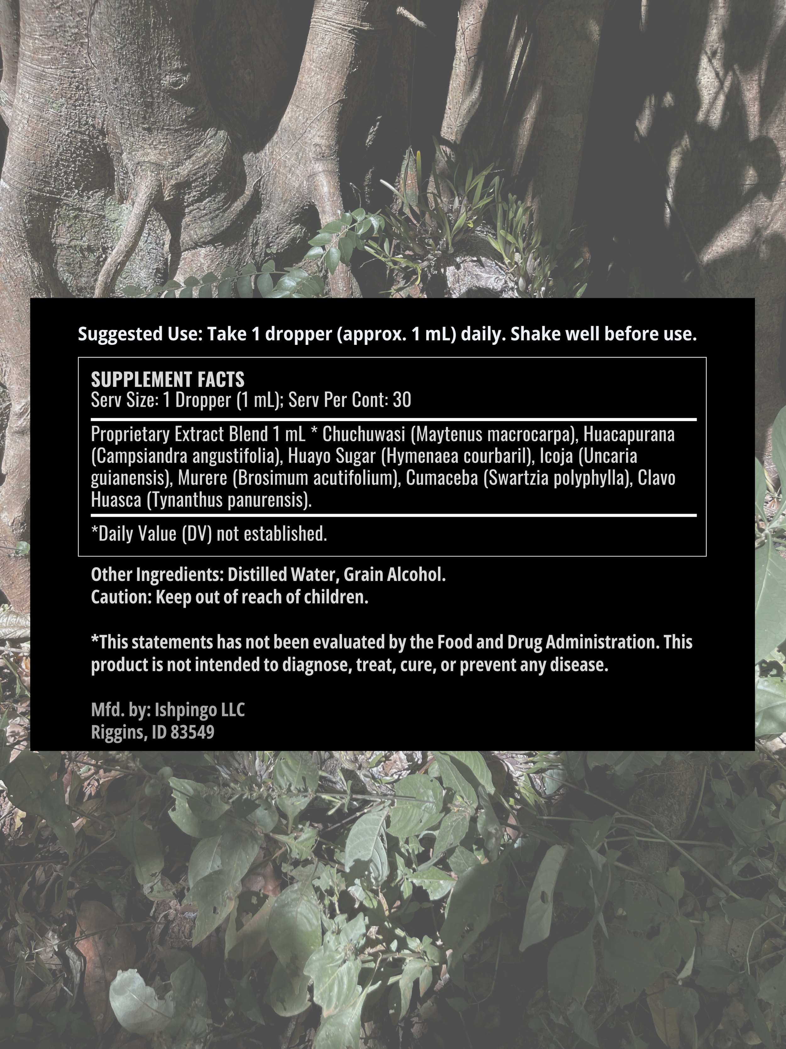 Seven Roots IR.png