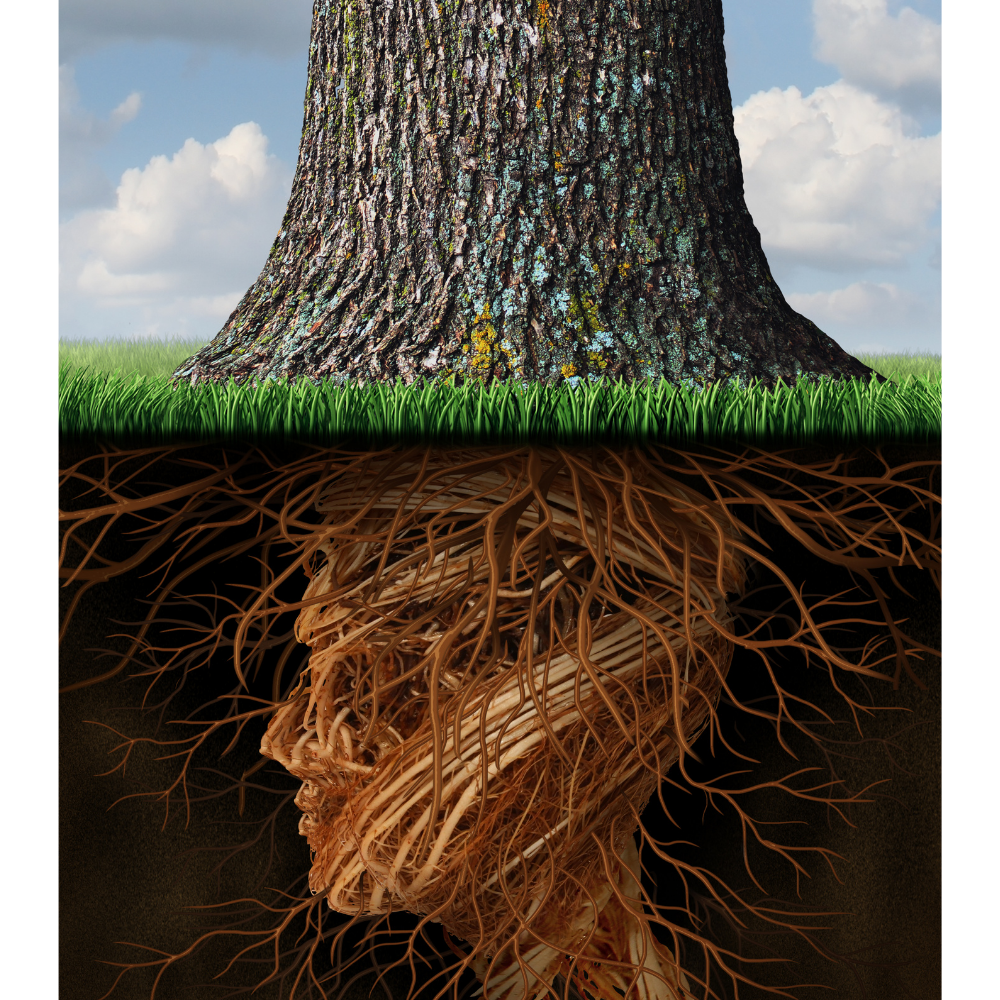 The Root Map