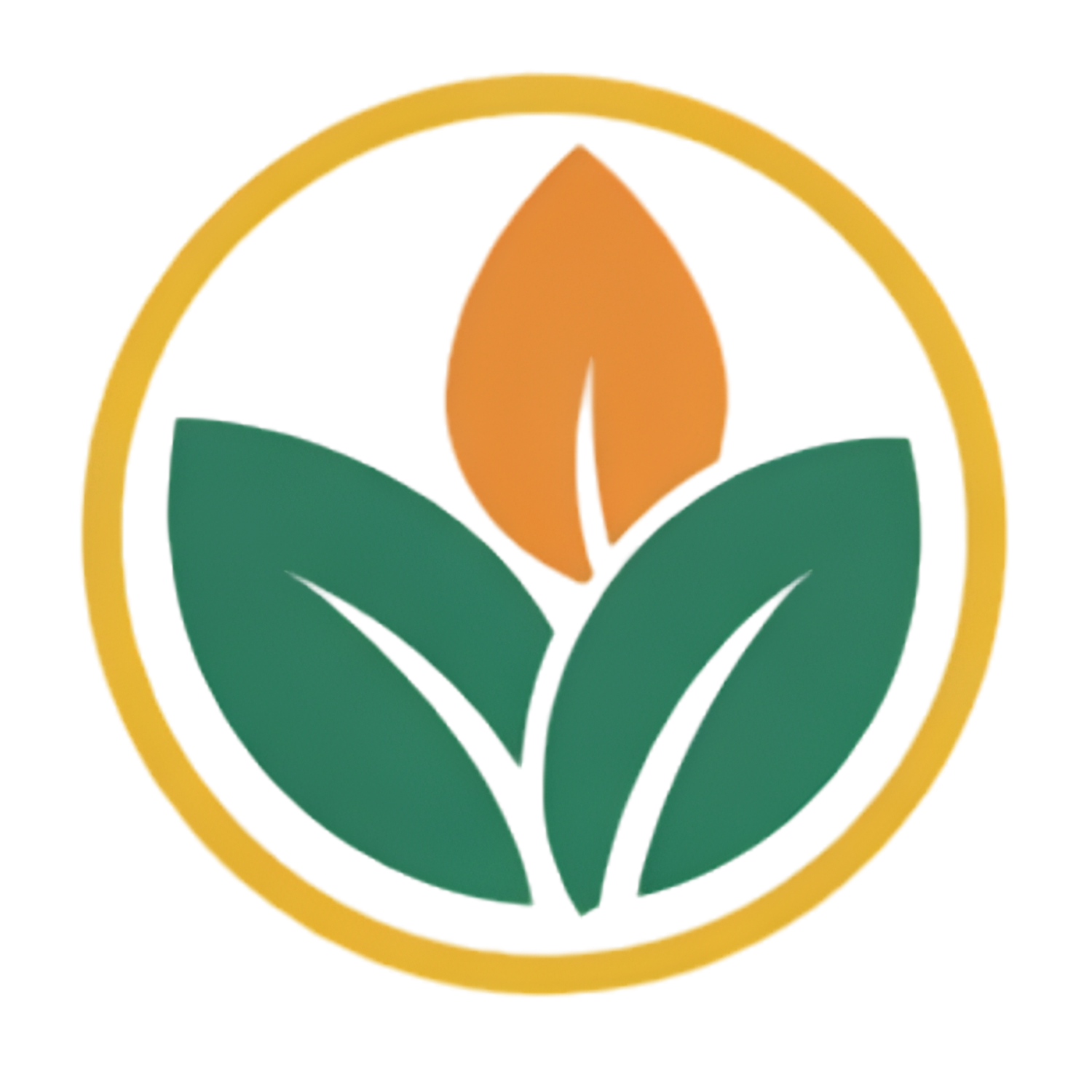 Lavish Network LLC