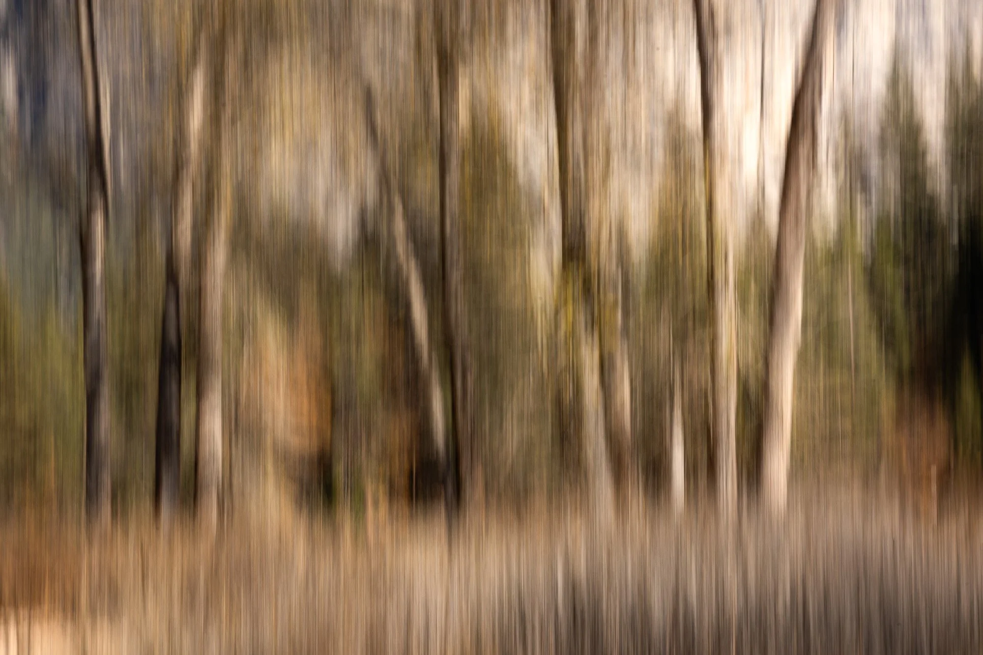 "Forage"