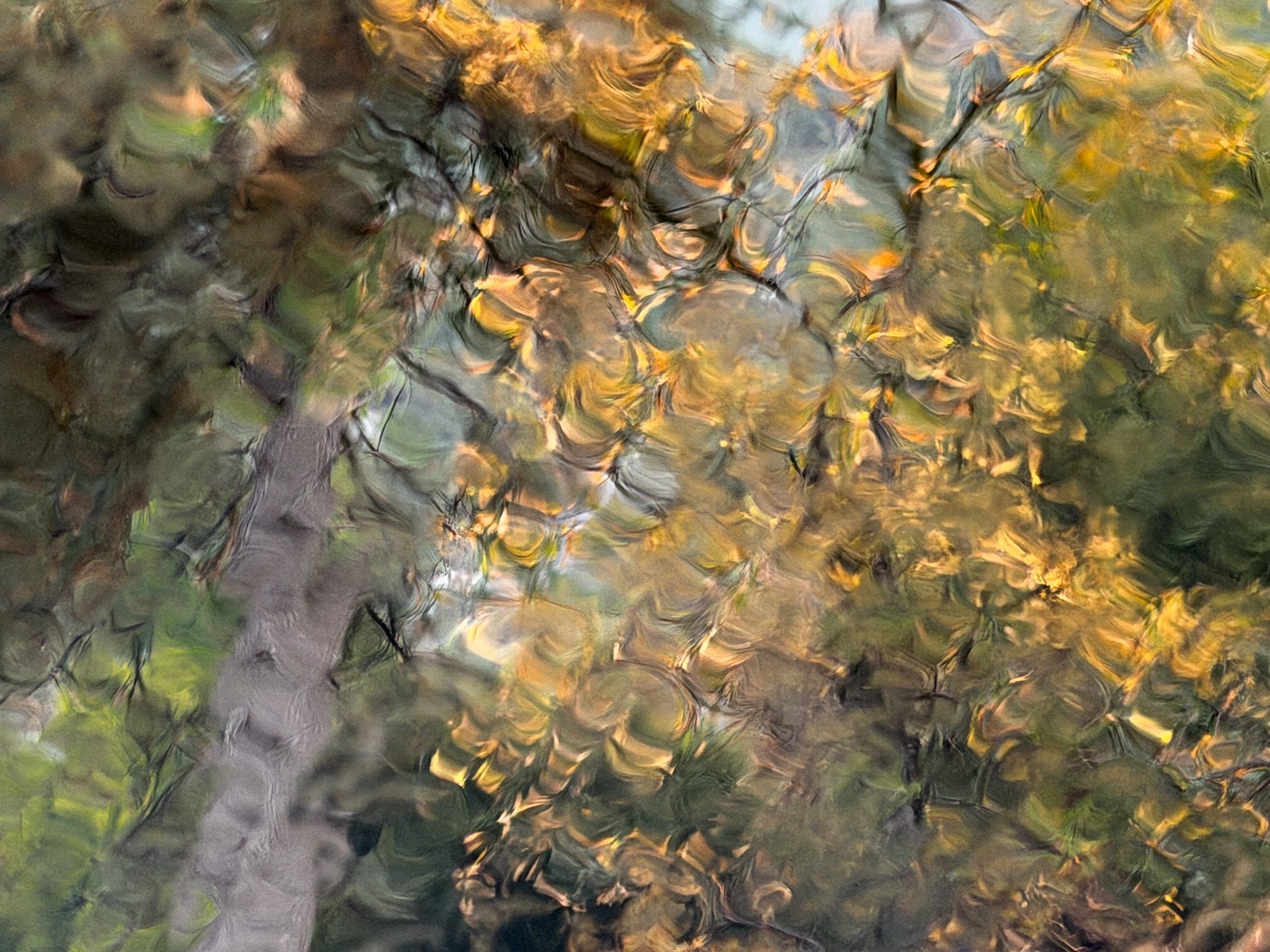 "Window View"