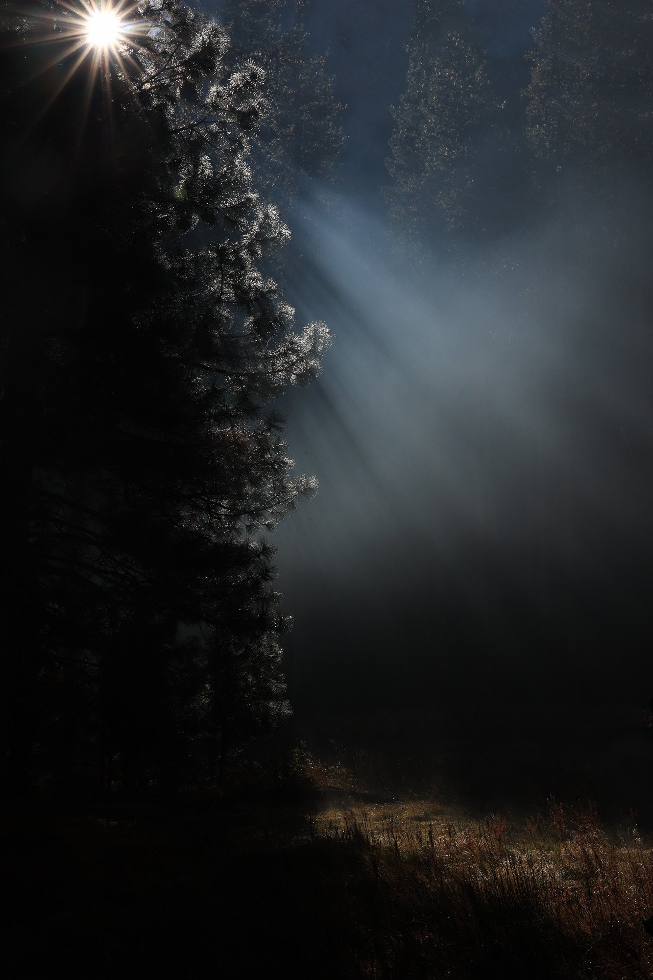 "Spotlight"