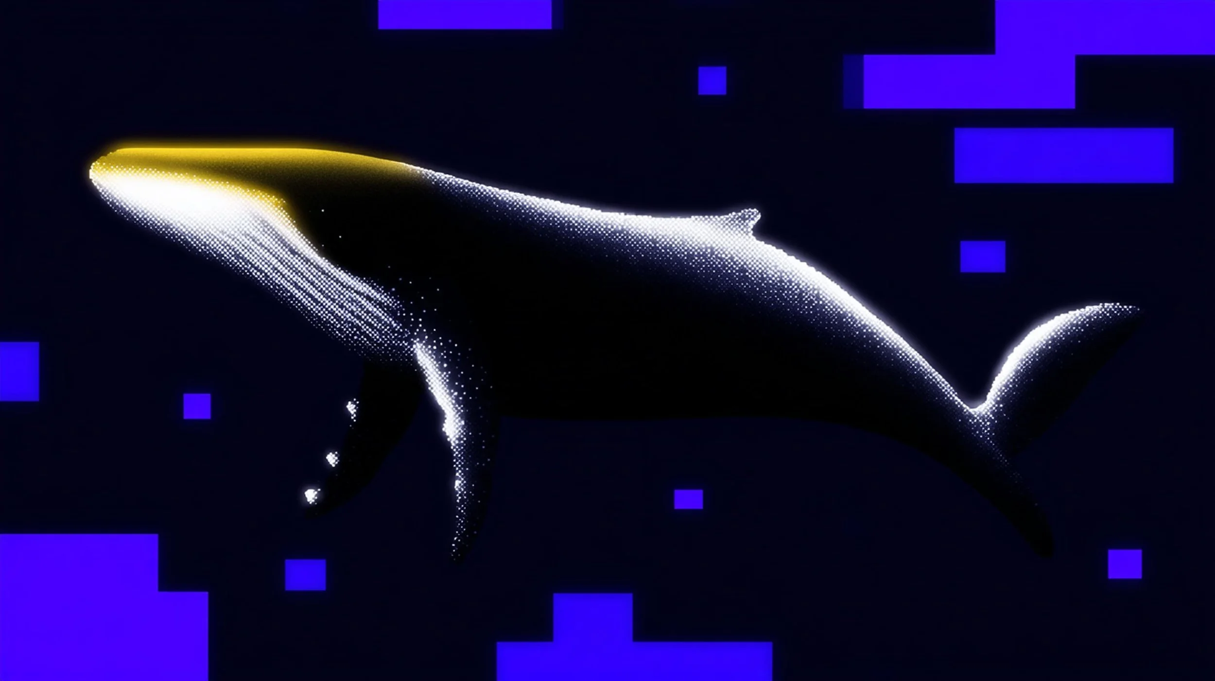 custom-img-2113.jpg