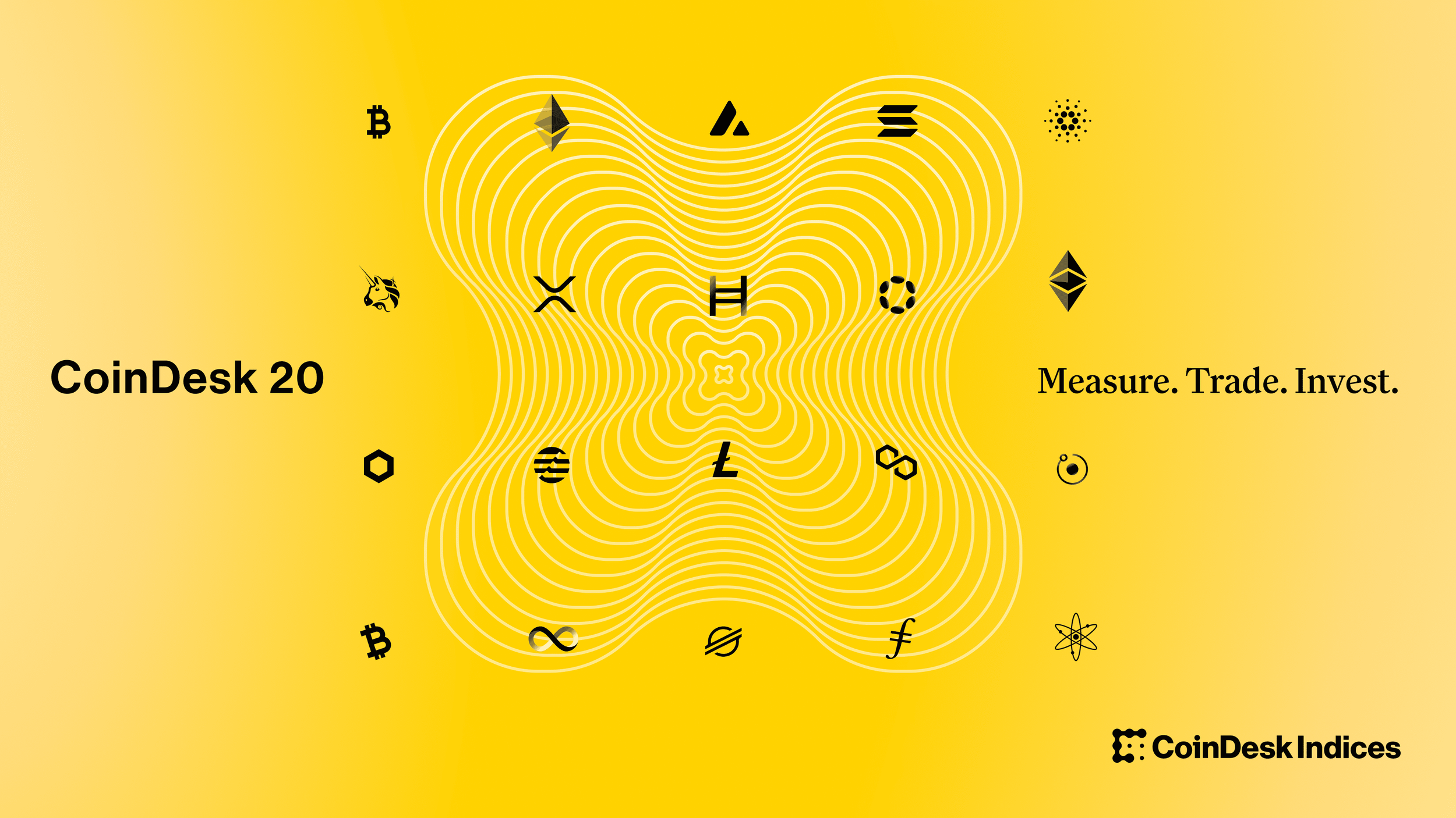 CD20_zoombg-yellow-v2.png