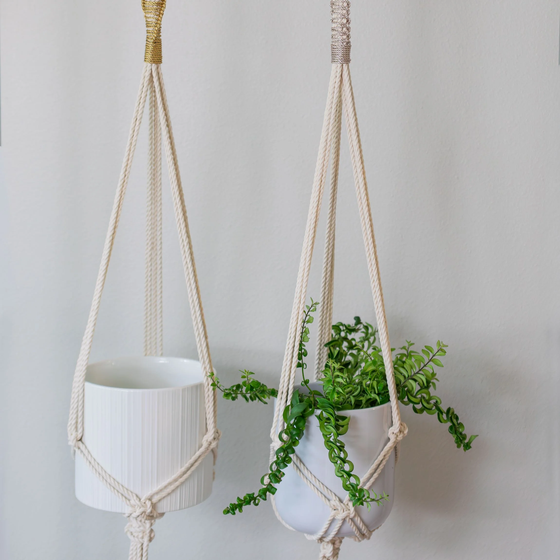 plant hangers with gold silver platinum luxe finishes.jpg