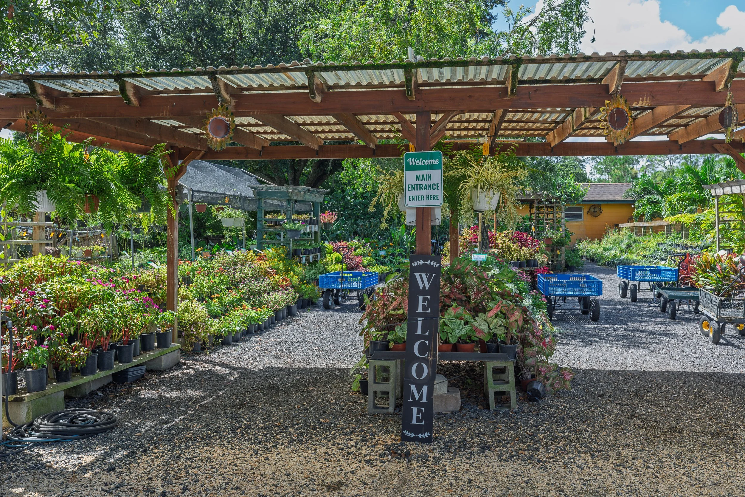 landscaping-by-buther's-nursery-daytona-beach-florida-tropical-garden.jpg