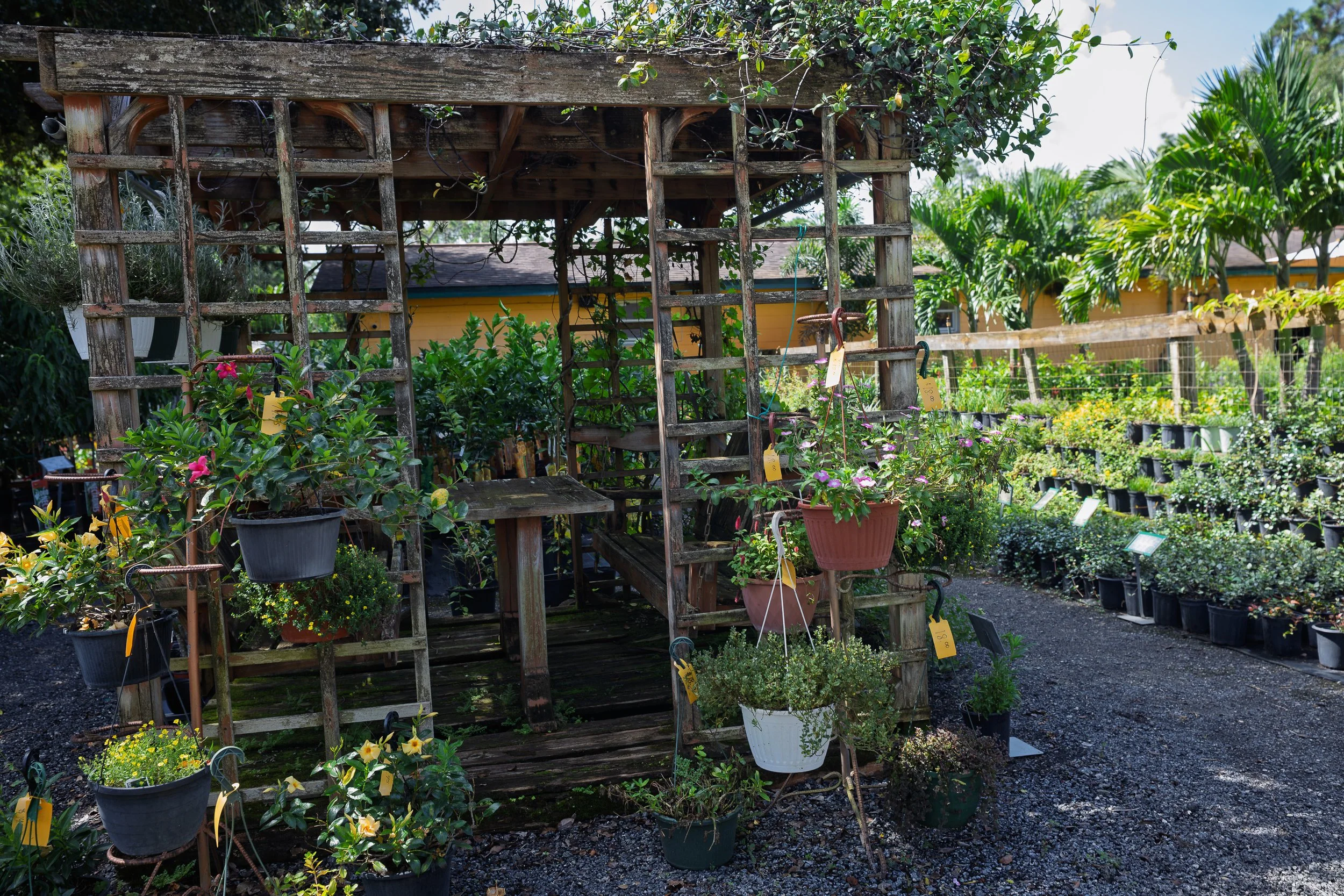 landscaping-by-butcher-daytona-beach-florida-houseplantsjpg.jpg