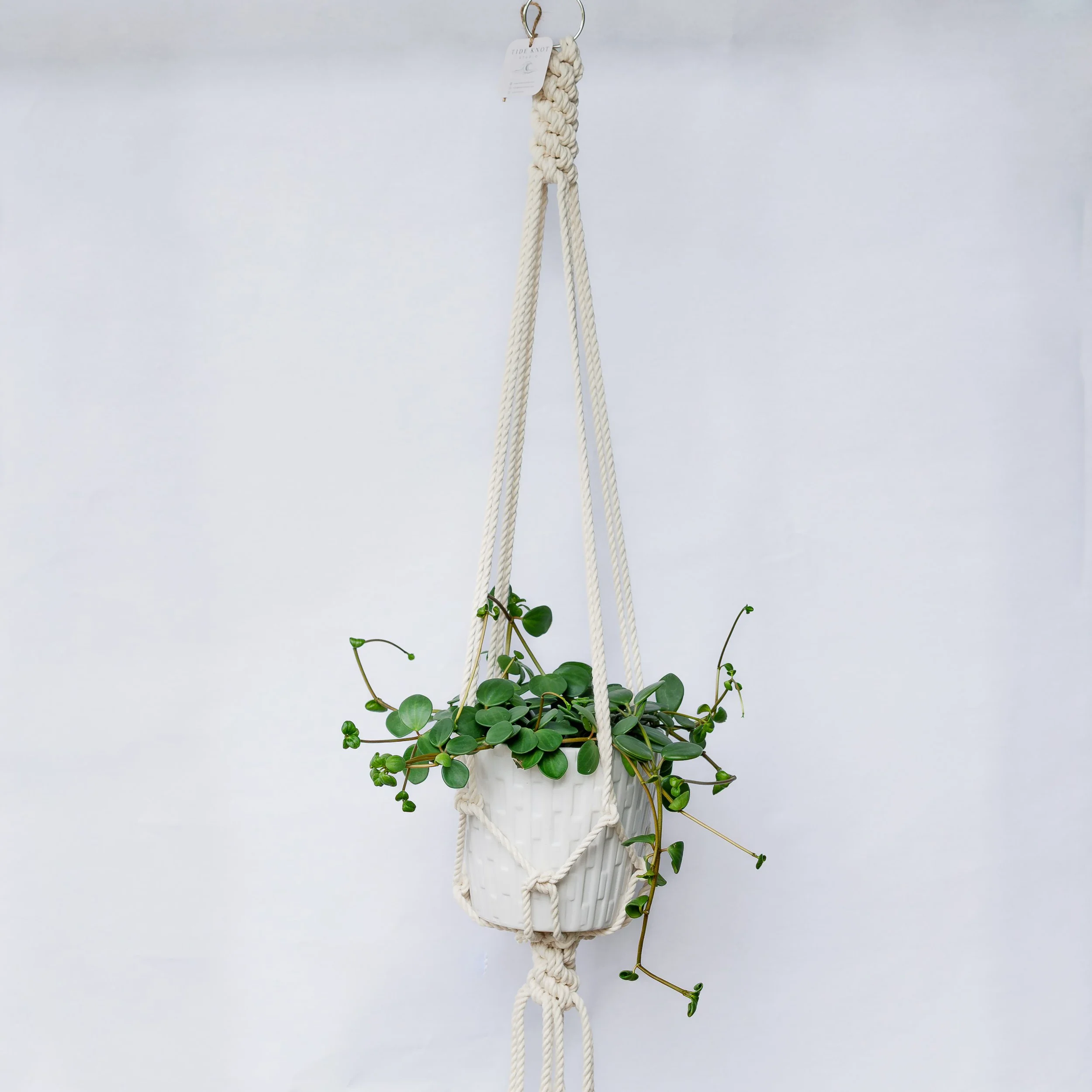 single 100% cotton plant hanger crown knot heavy duty.jpg