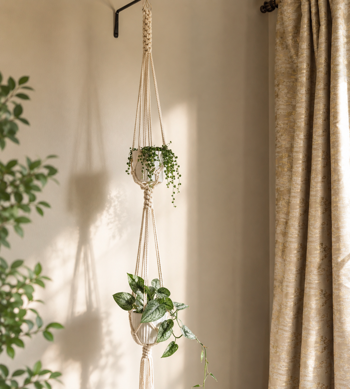 crown know double platn hanger 100% cotton.png