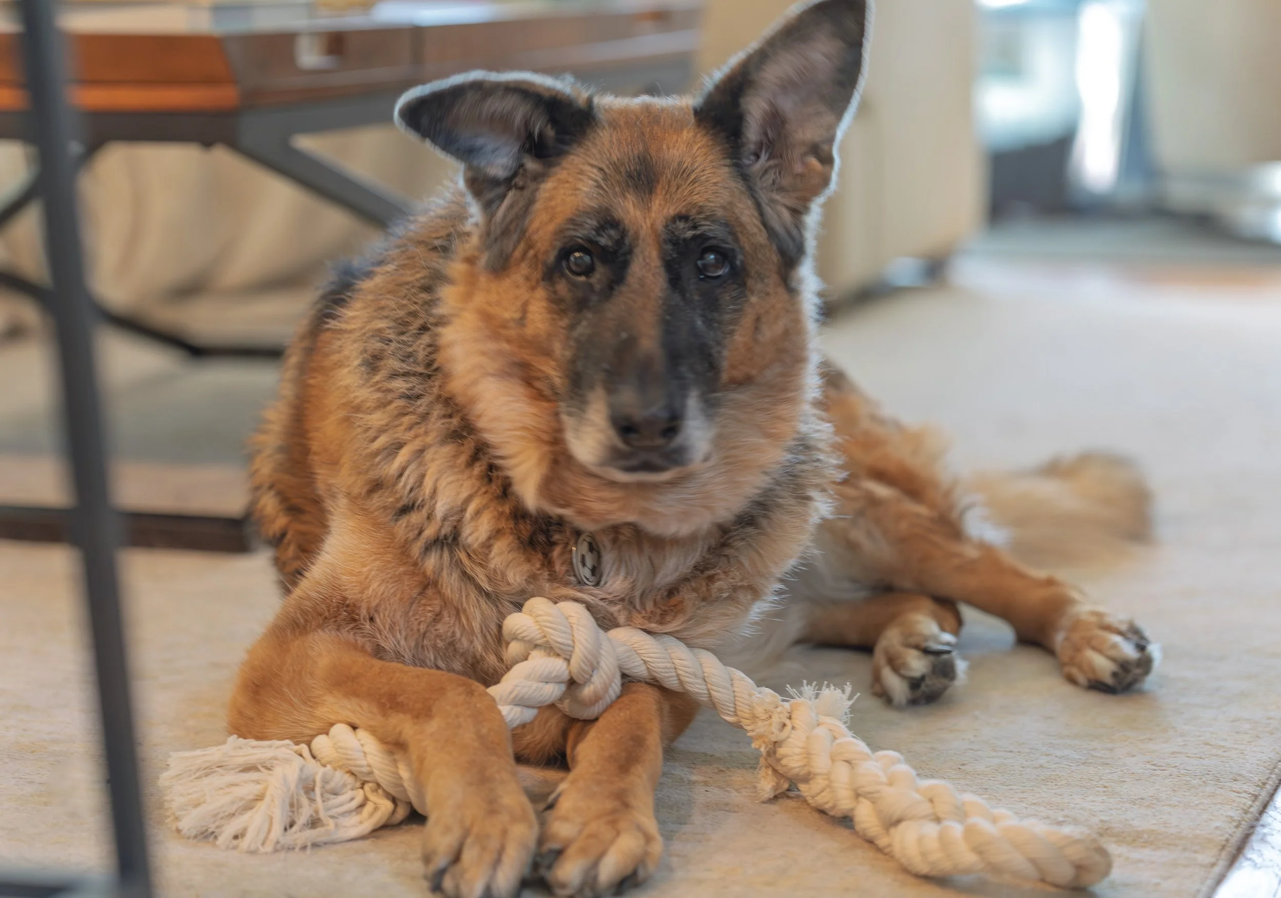 Natural Cotton Tug Toy