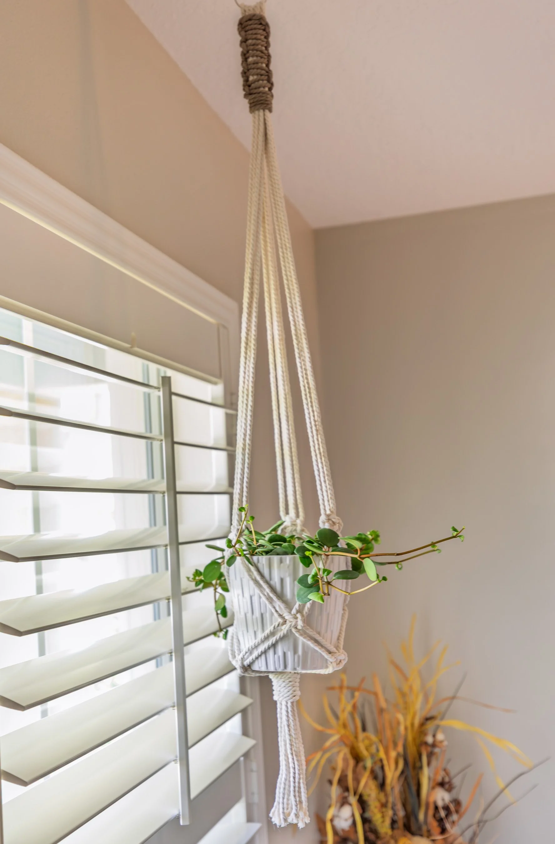 accent top plant hanger cotton.jpg