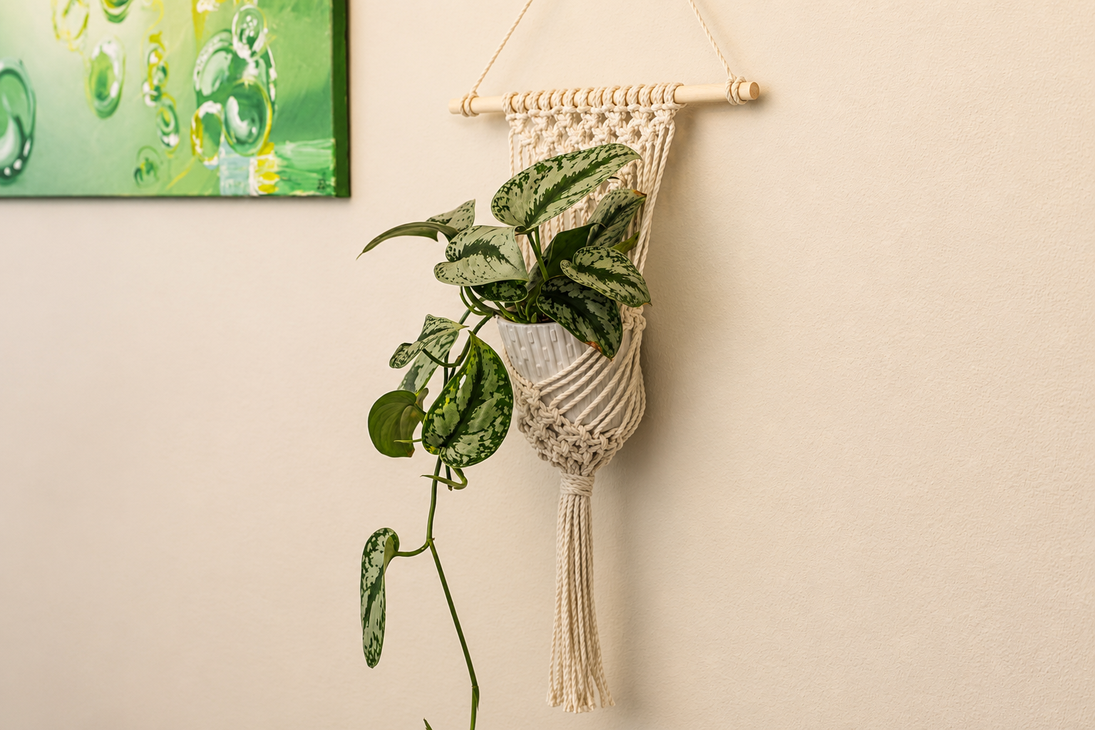 Boho plant hanger Scindapsus pictus 'Exotica' tide knot studio.png