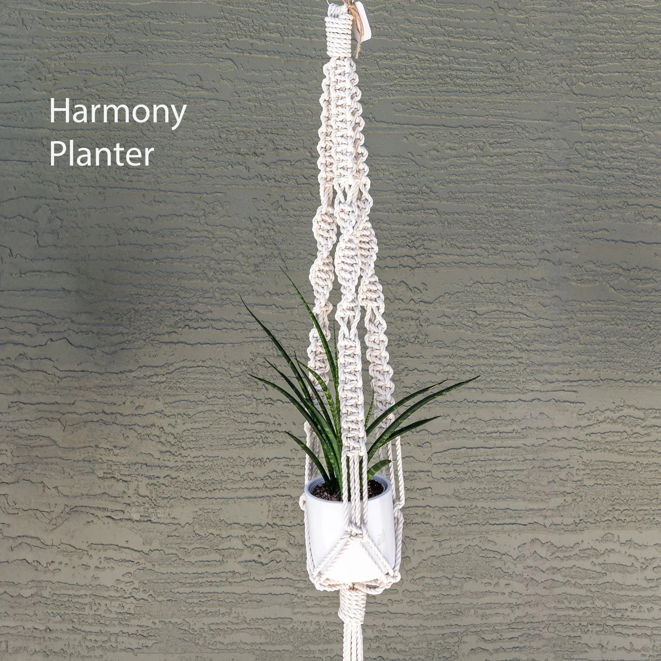 harmony+plant+hanger+cotton+macrame.jpg