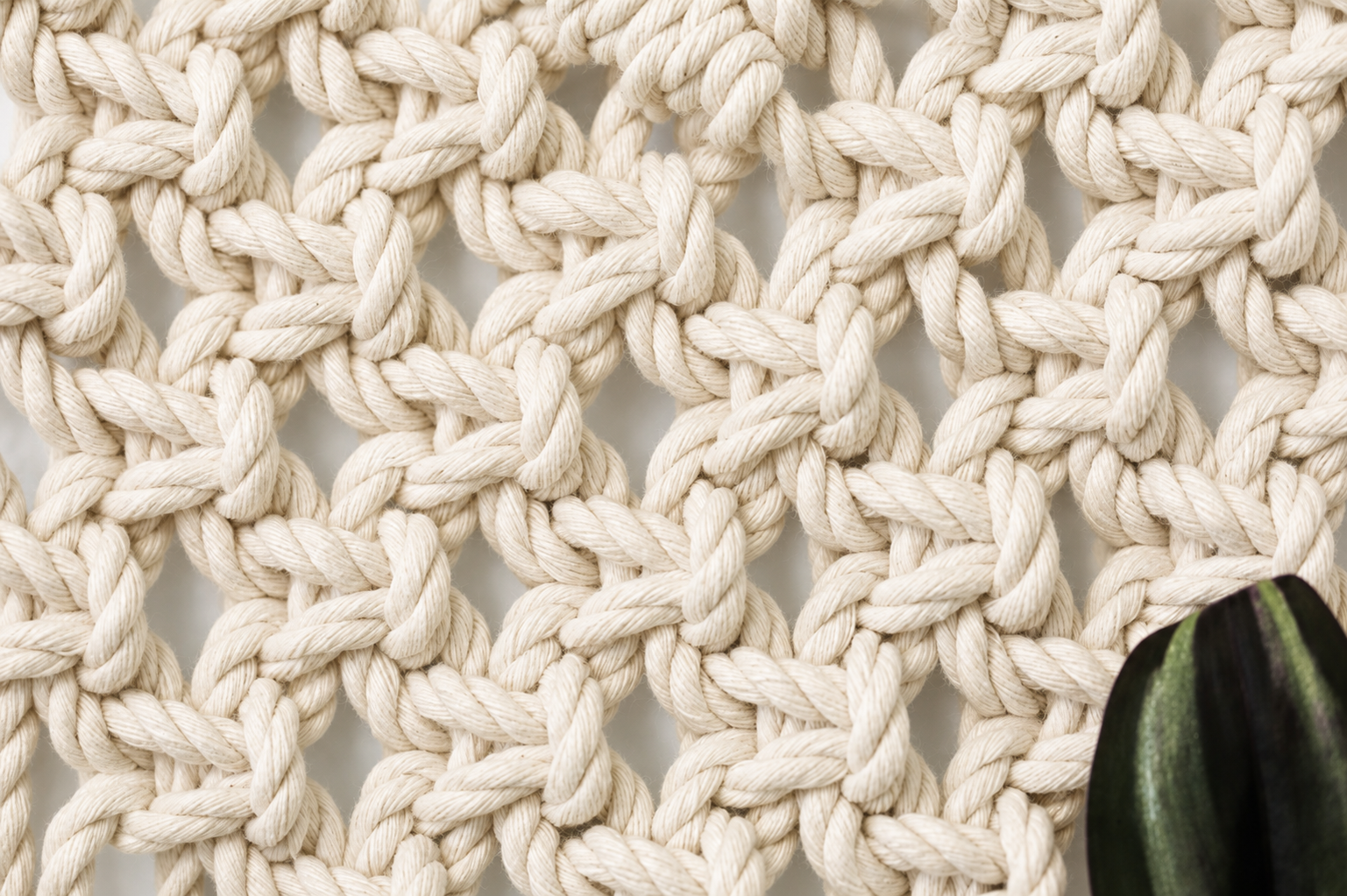high quality macrame cord propagation station.png