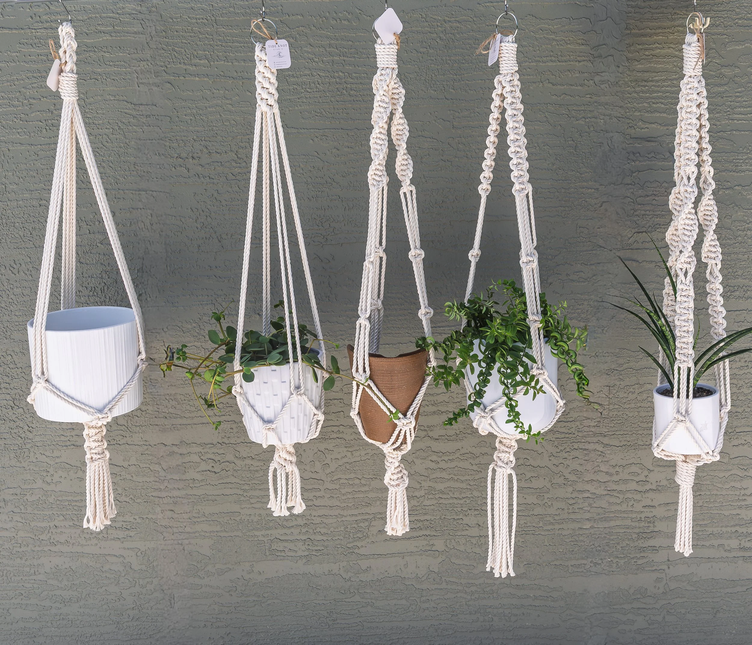 plant hanger options 100% cotton heavy duty.jpg