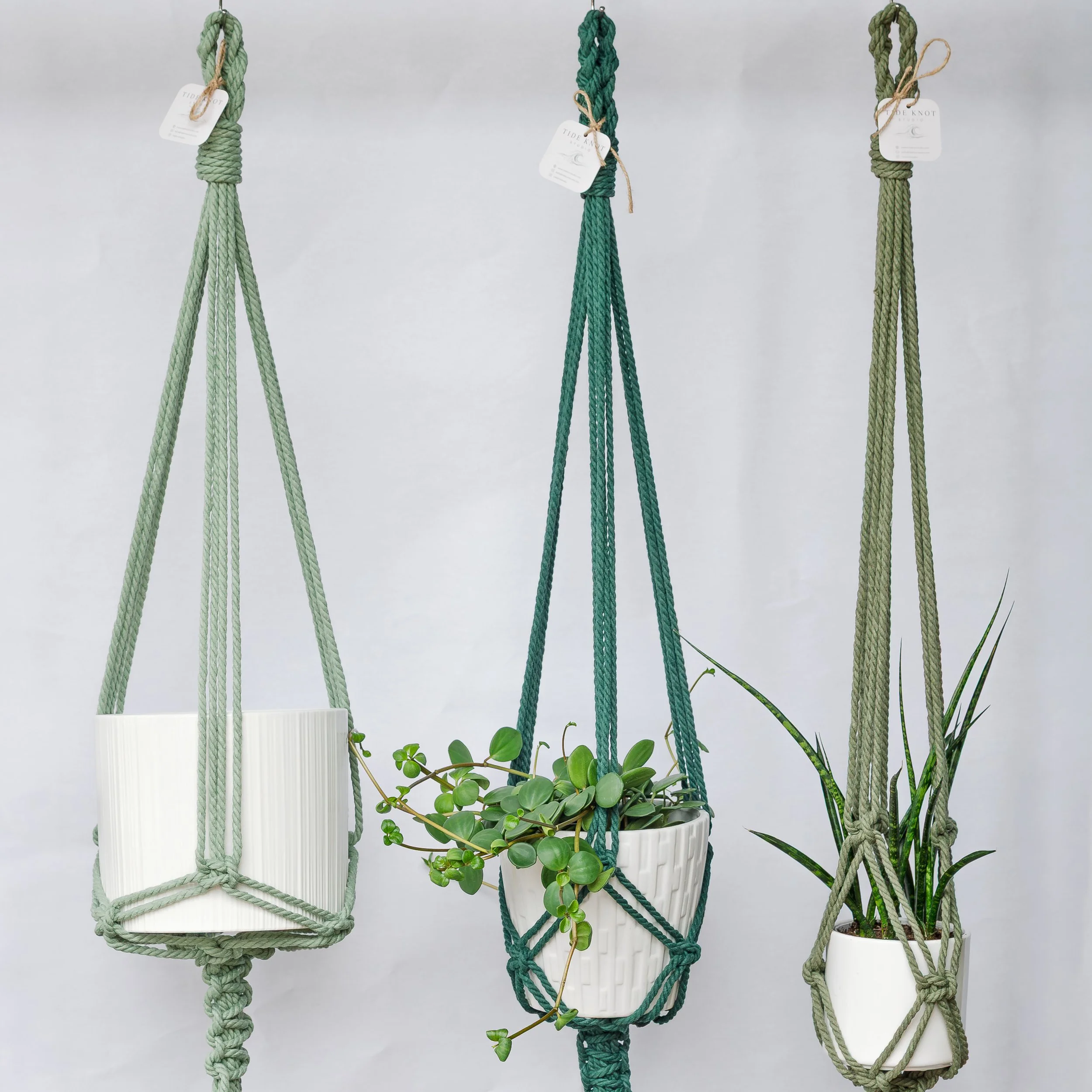boho style macrame plant hangers green tones.jpg