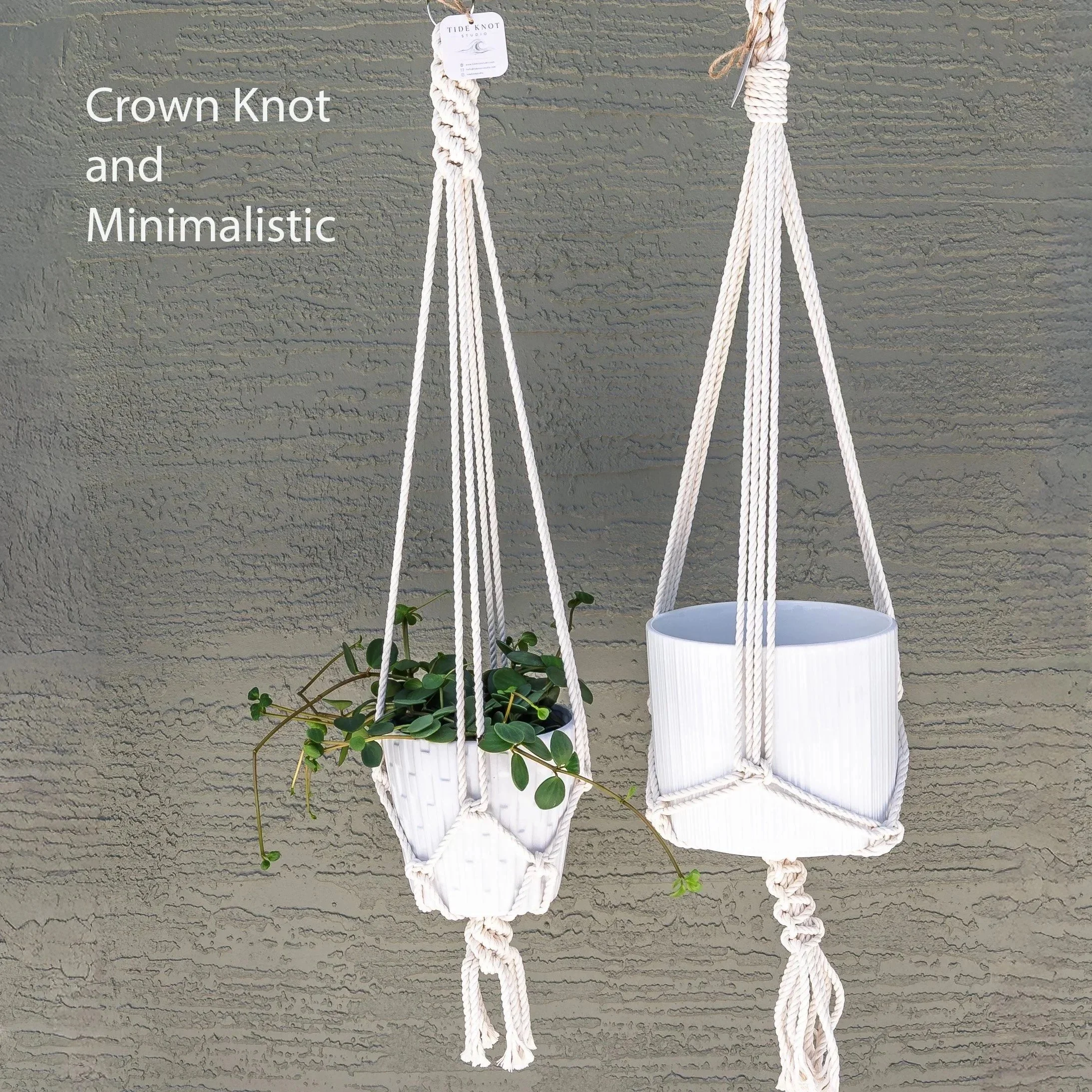 crown%2Bknot%2Band%2Bminimalistic%2Bplanter%2Boptions%2Bfor%2Bplant%2Bhangers.jpg