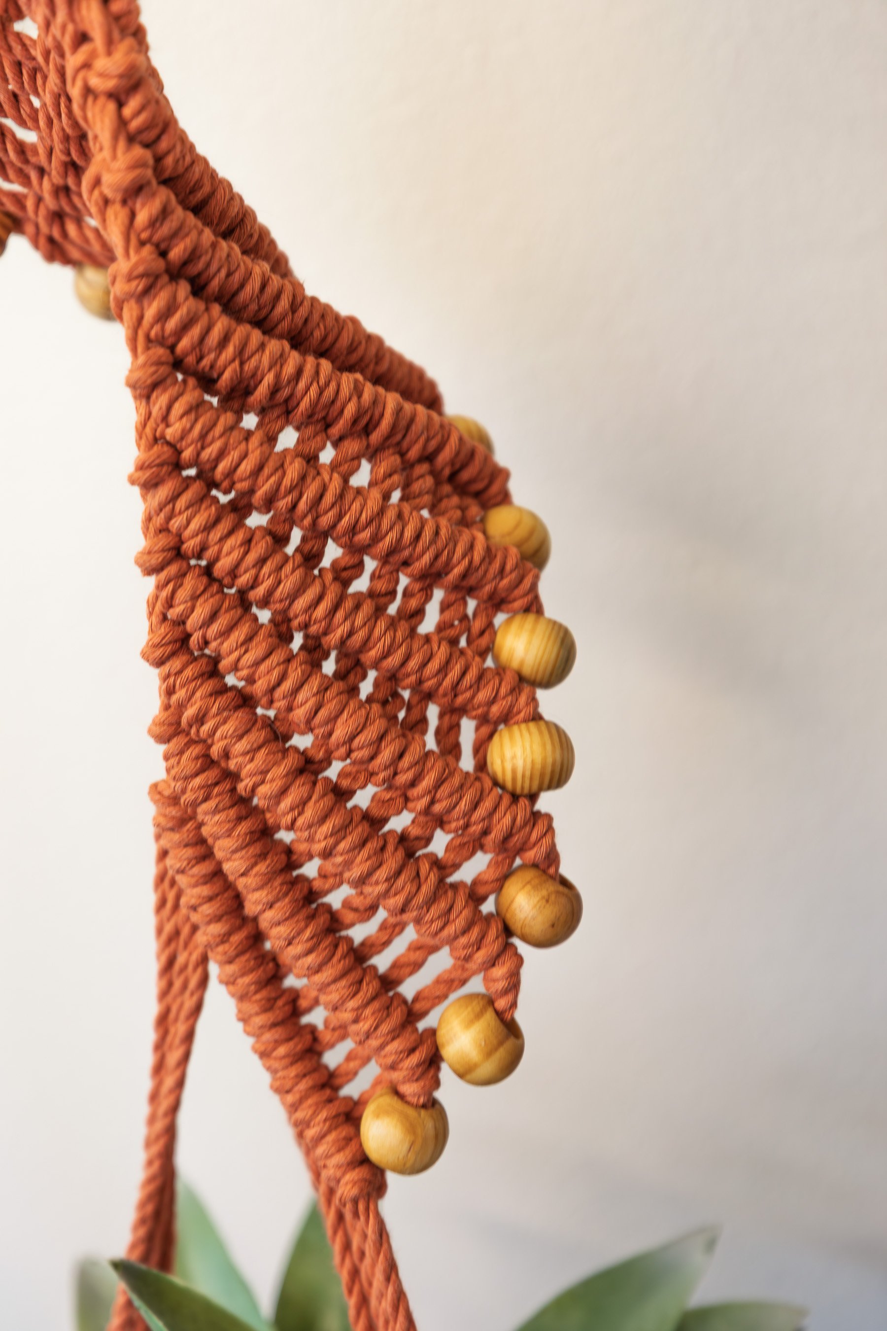 terracotta-whimsical-spiral-plant-hanger.jpg