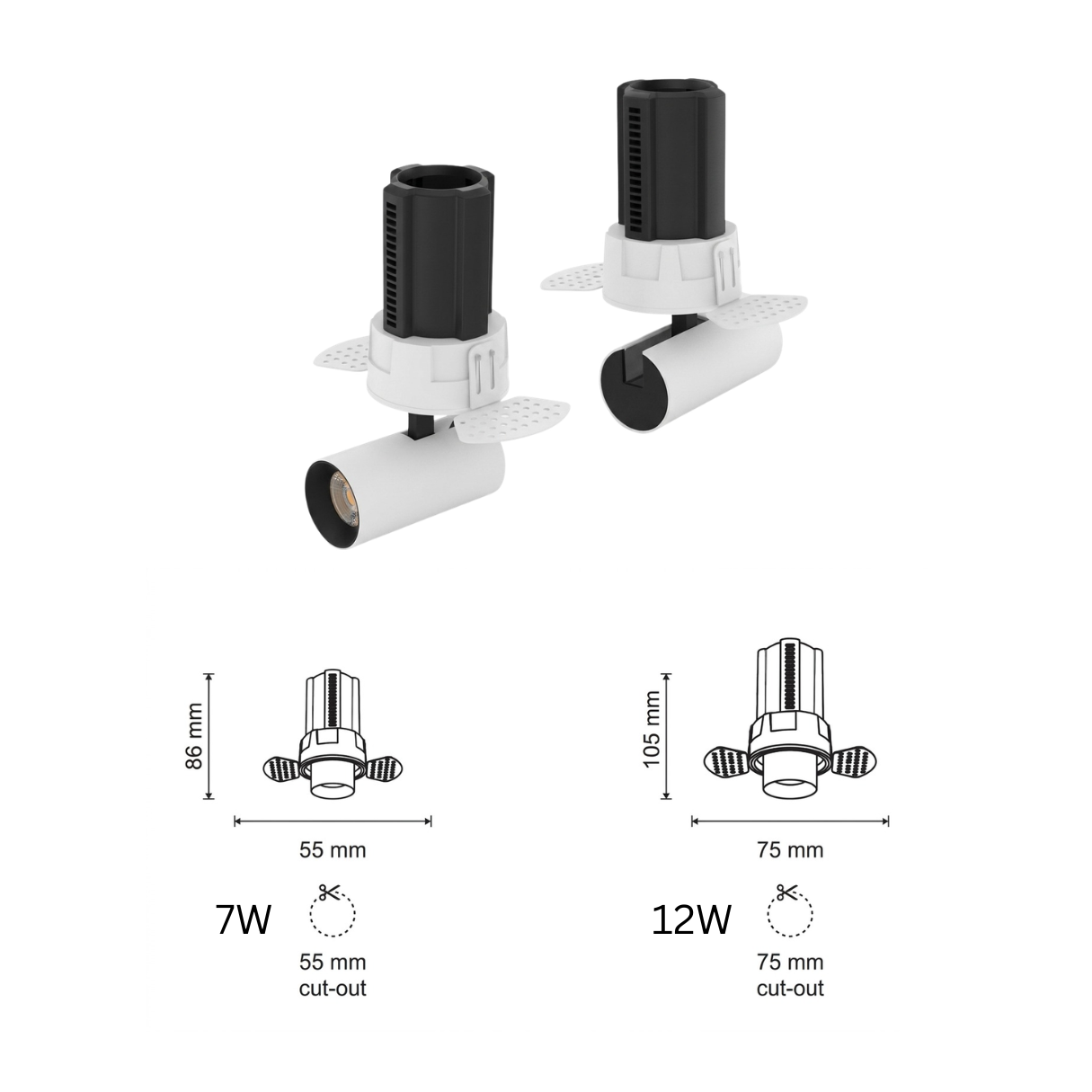 SAP (1).png