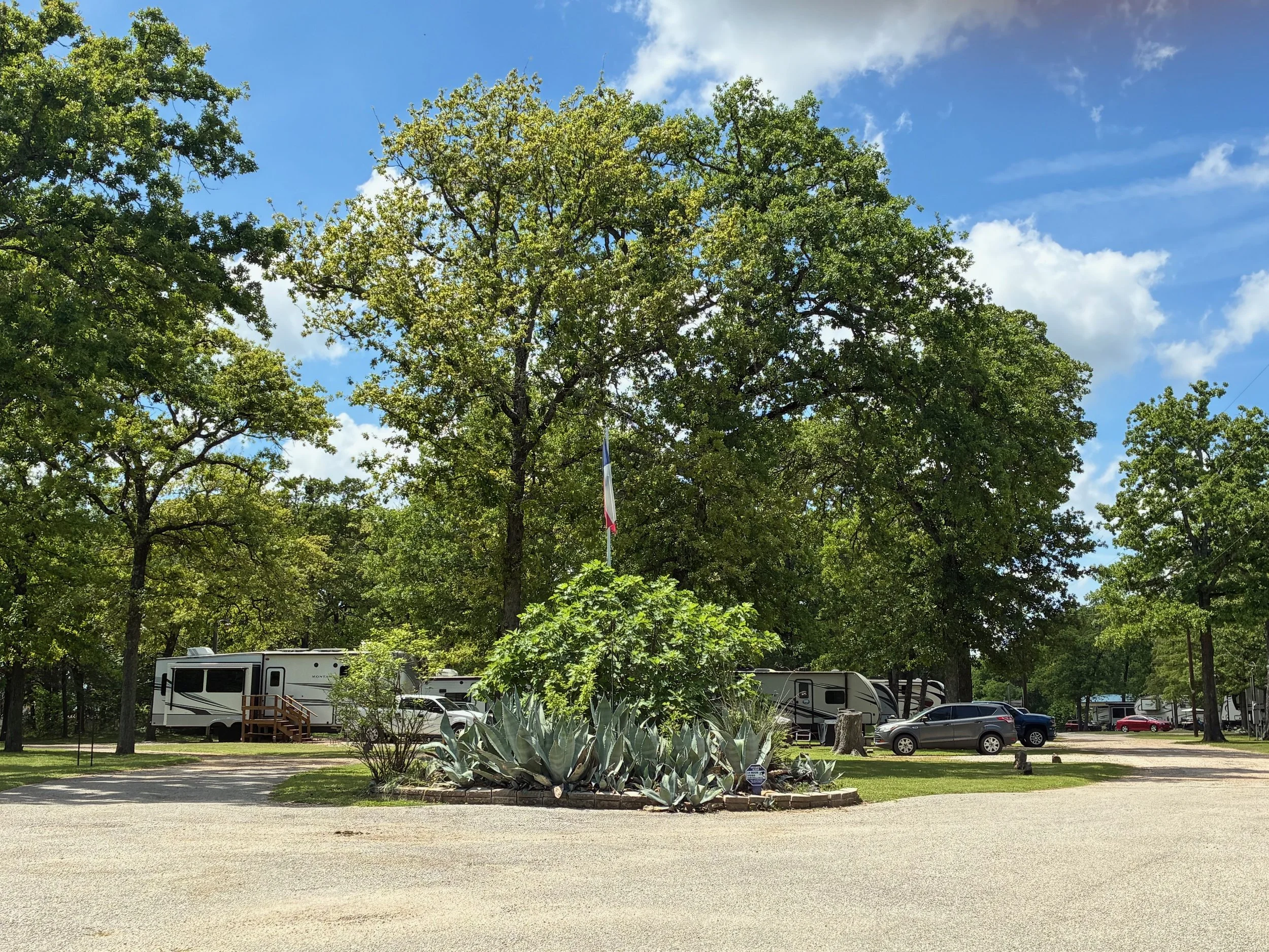 A campground with several recreational vehicles parked among tall green trees and a small garden with succulents and large agave plants in the foreground, blue sky with some clouds overhead.