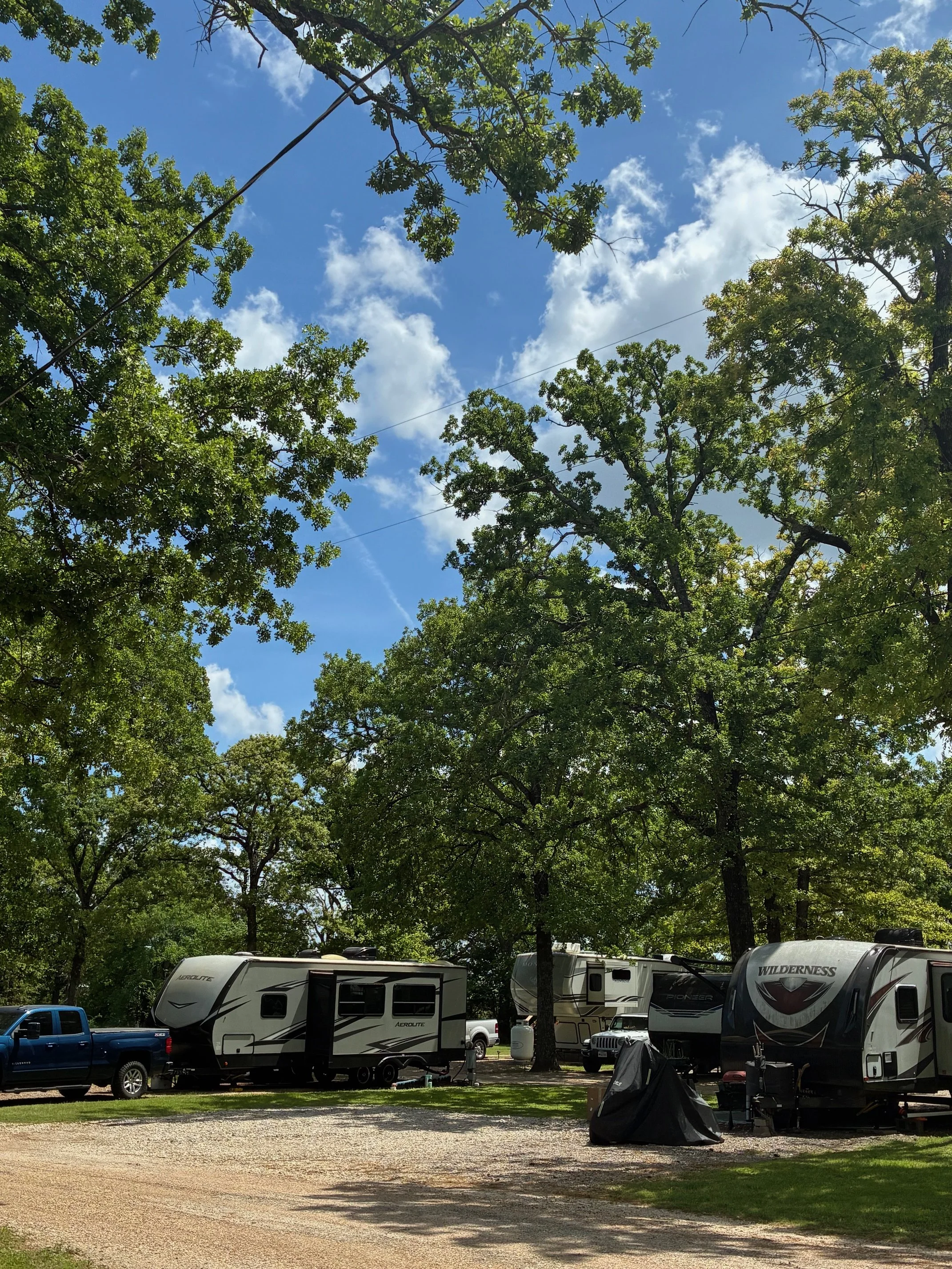 Several travel trailers and an SUV parked under tall trees with green leaves in a campsite, with blue sky and white clouds overhead.