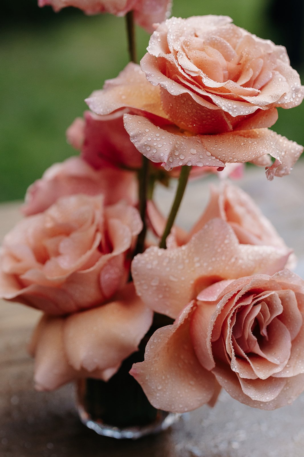 Close-up of a bouquet of pink roses with water droplets on the petals.