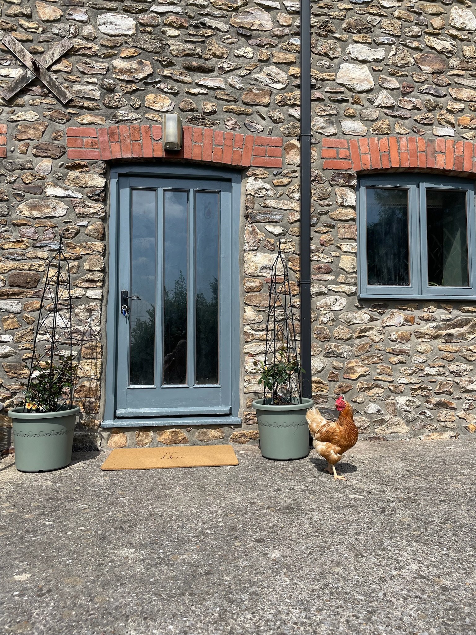A warm welcome from our chickens guaranteed, plus some eggs if you are lucky!