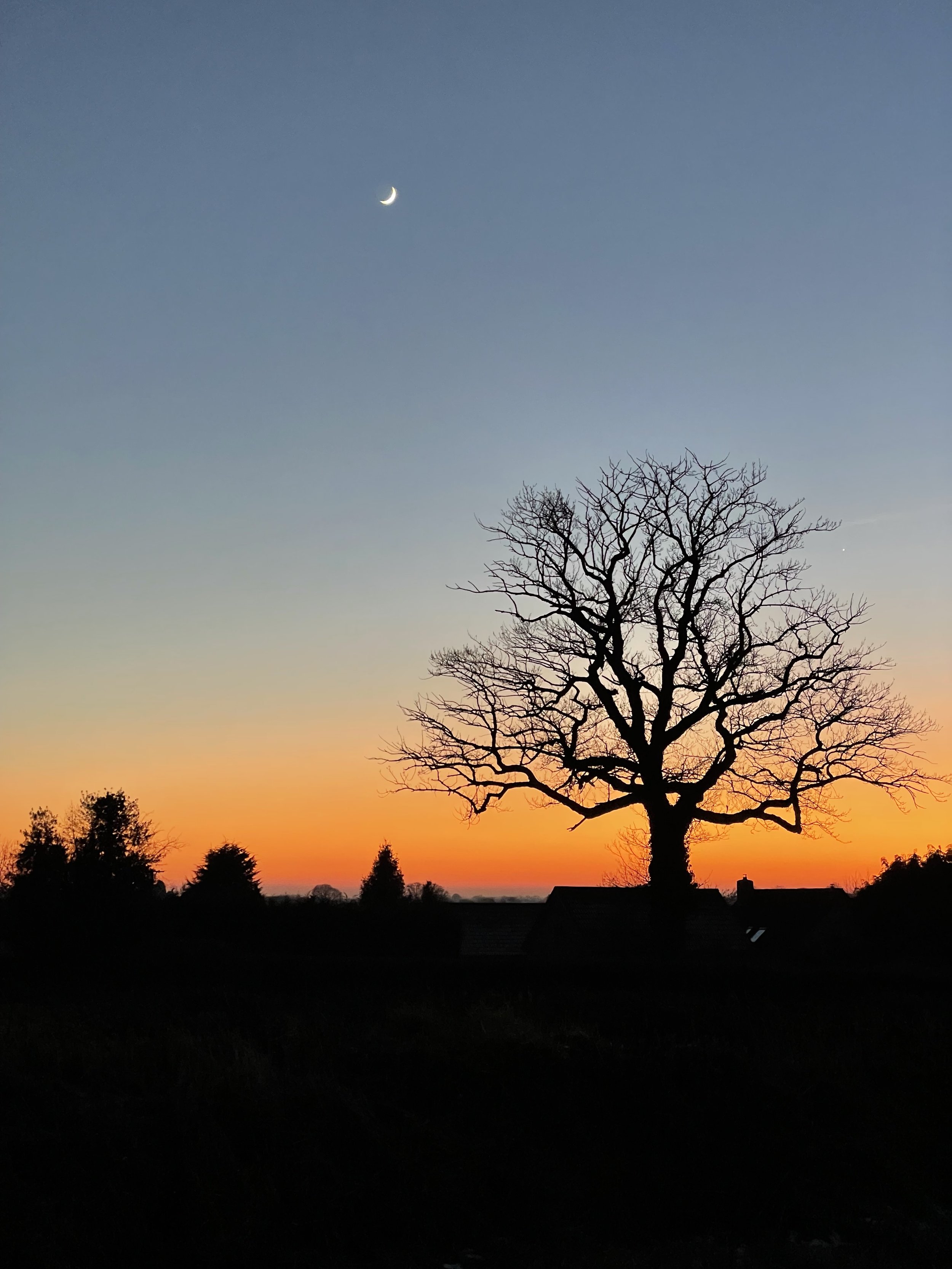 A landscape scene at sunset with a large, leafless tree in the foreground, silhouettes of smaller trees and rooftops below, and a sky with a crescent moon in the upper left and a bright planet or star near the horizon.