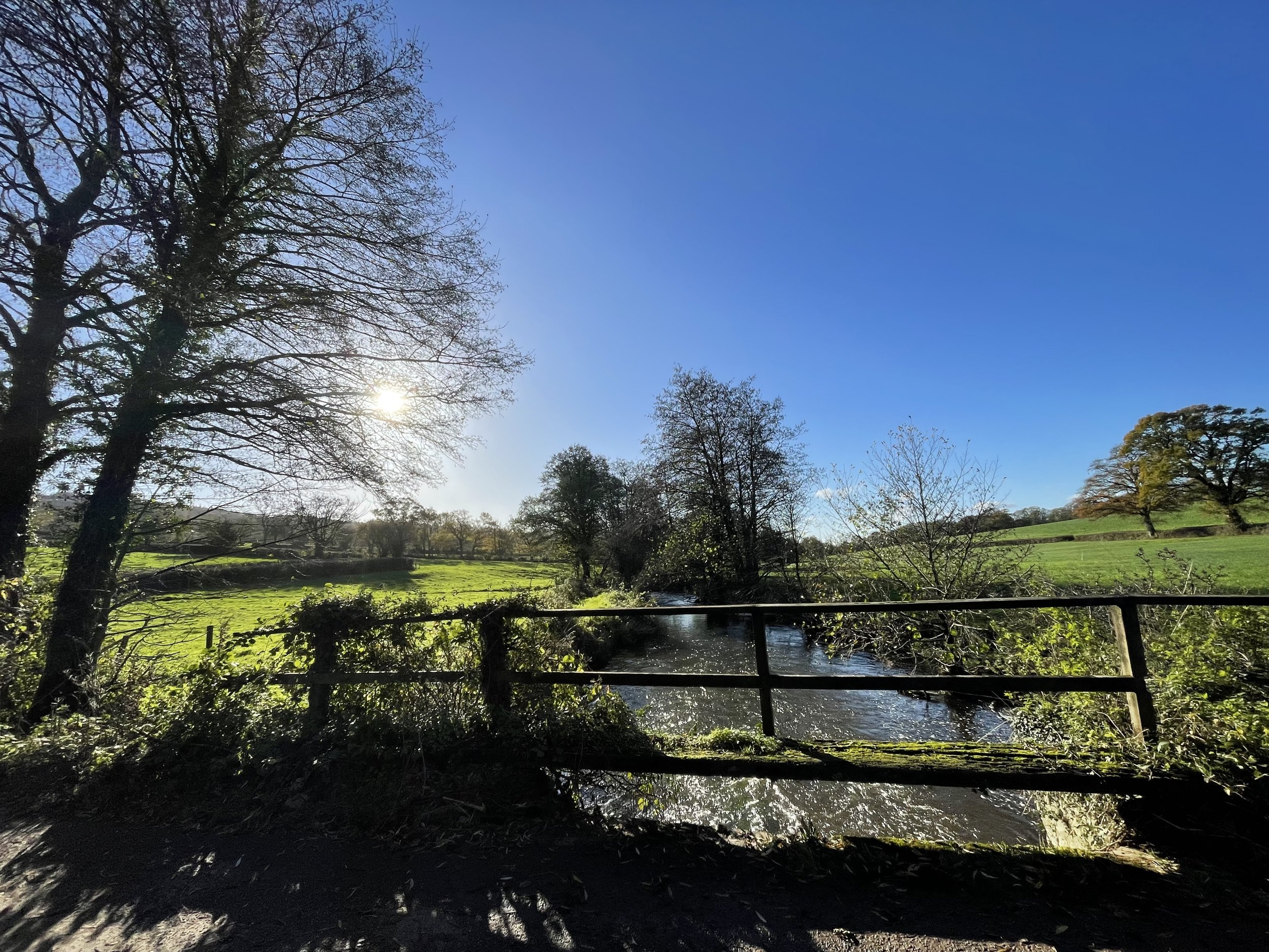A landscape scene with a bright blue sky, a large tree with bare branches on the left, smaller trees with sparse leaves in the distance, a grassy green field, and a small stream with a wooden bridge in the foreground, partially shaded by trees.