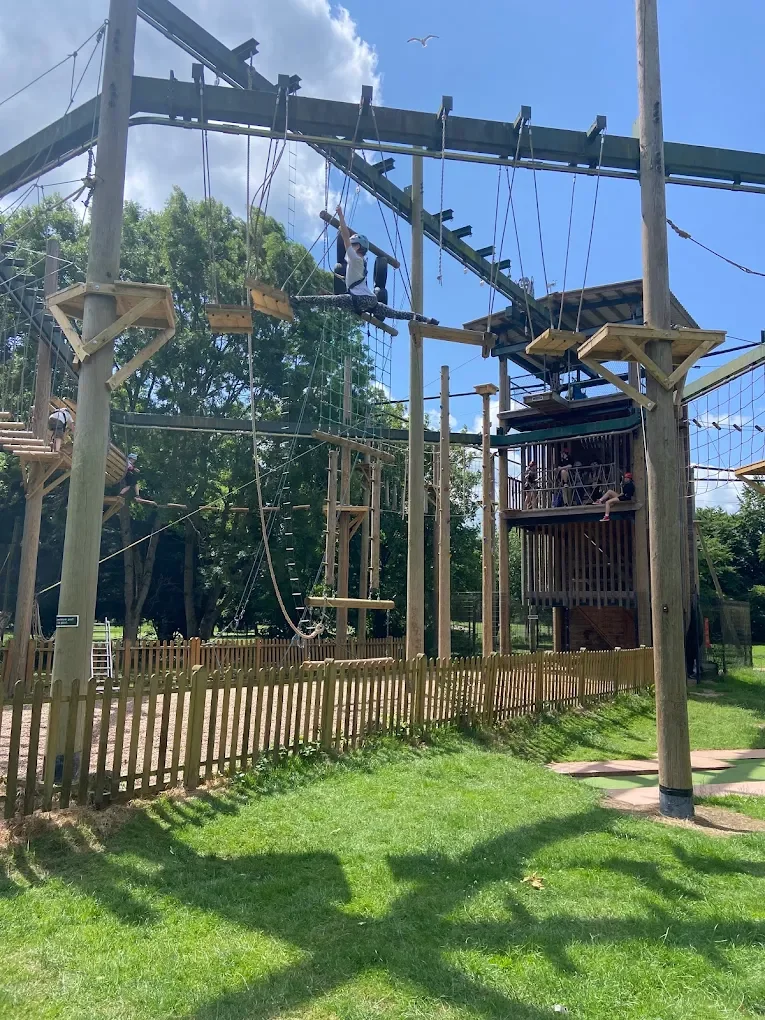 People enjoying the ropes course and elevated obstacles at an outdoor adventure park under a clear blue sky with some clouds and a bird flying overhead.
