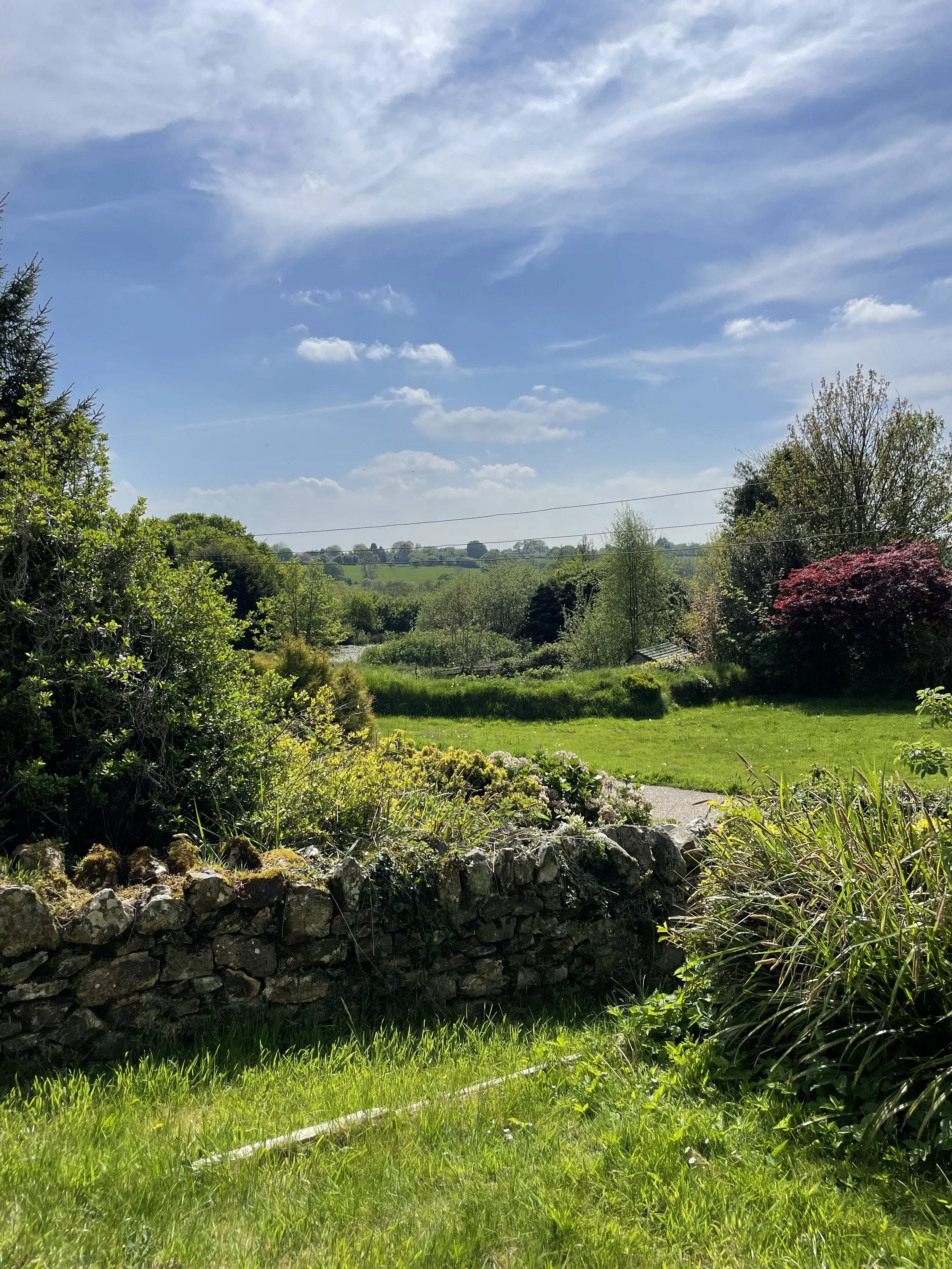 A lush green backyard garden with stone wall, green grass, shrubs, trees, and a partly cloudy blue sky in the background.