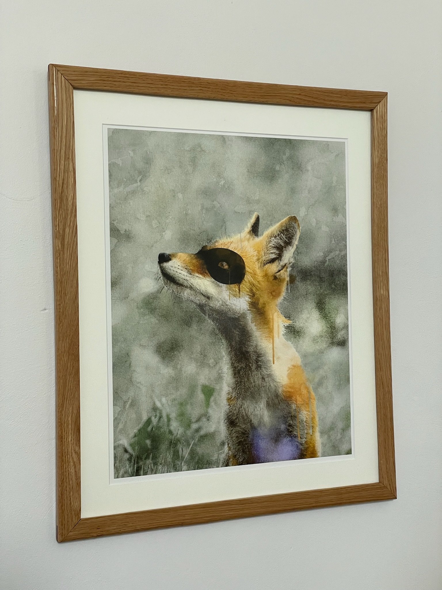 Framed picture of a fox with a black eye patch, outdoors with greenery in the background.