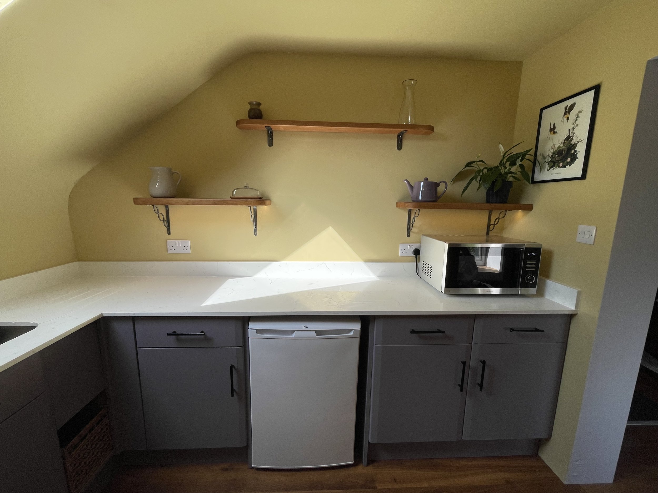 Fridge with small freezer compartment and microwave