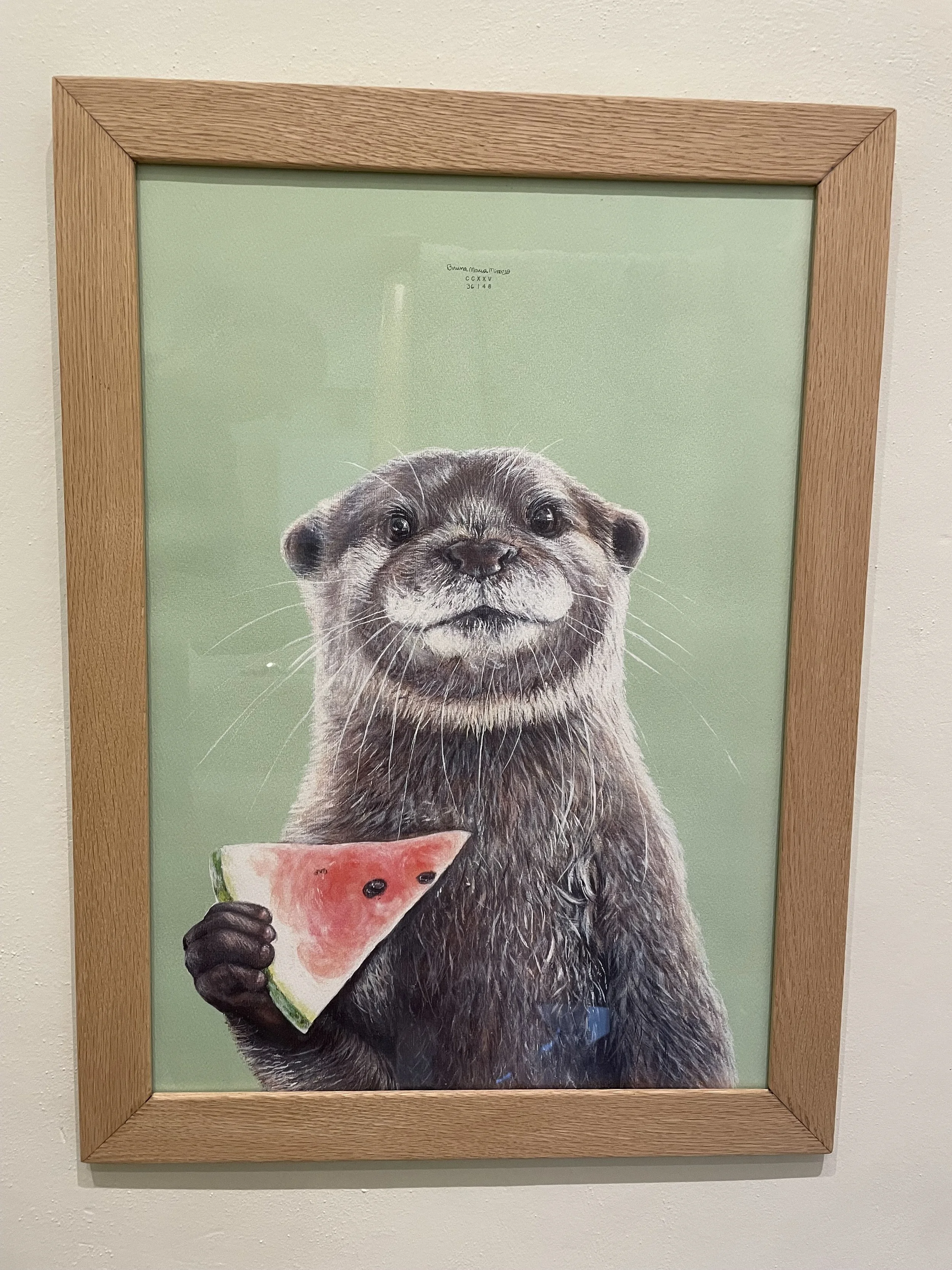 Framed picture of a cute otter holding a slice of watermelon.