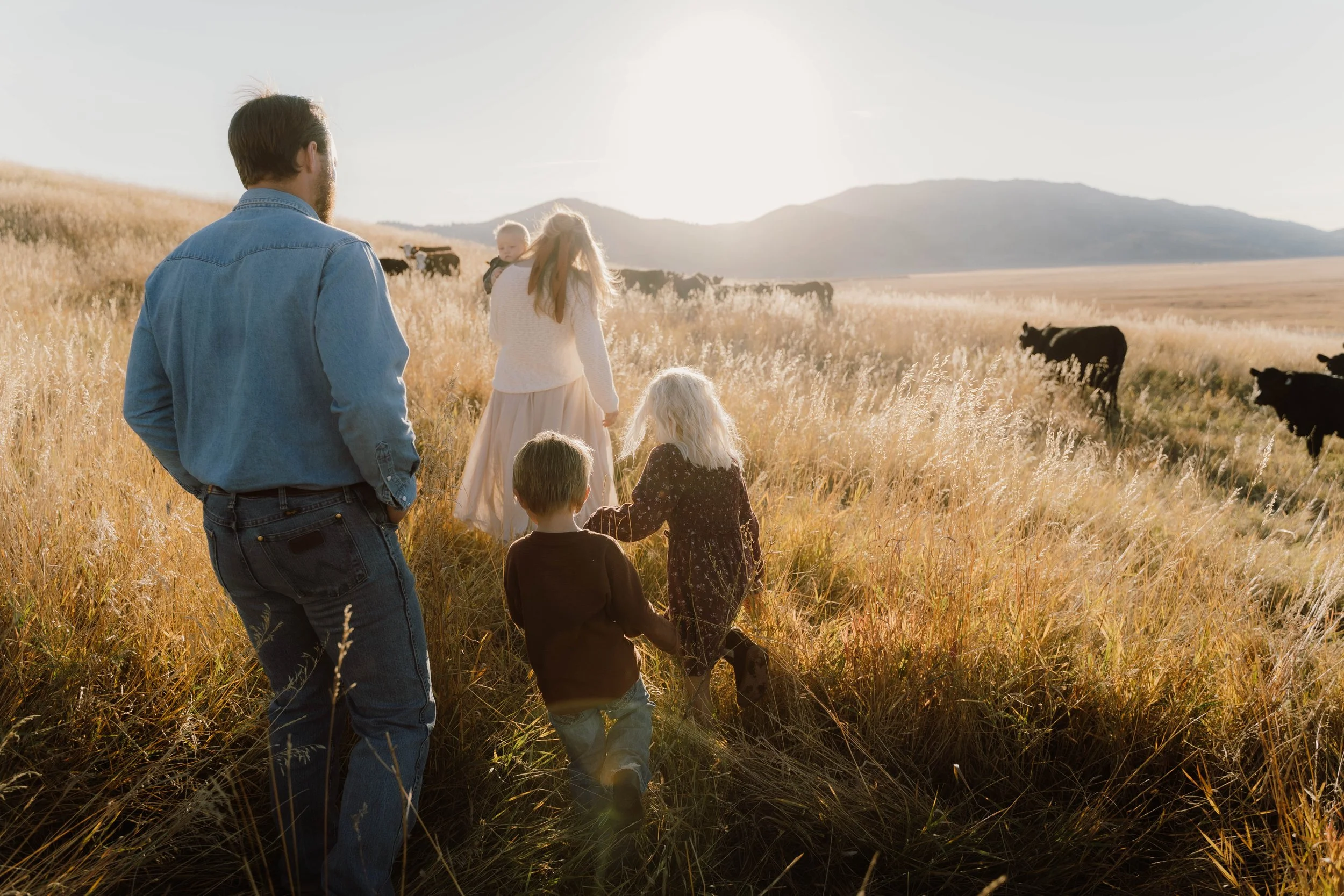 family with cows at sunset