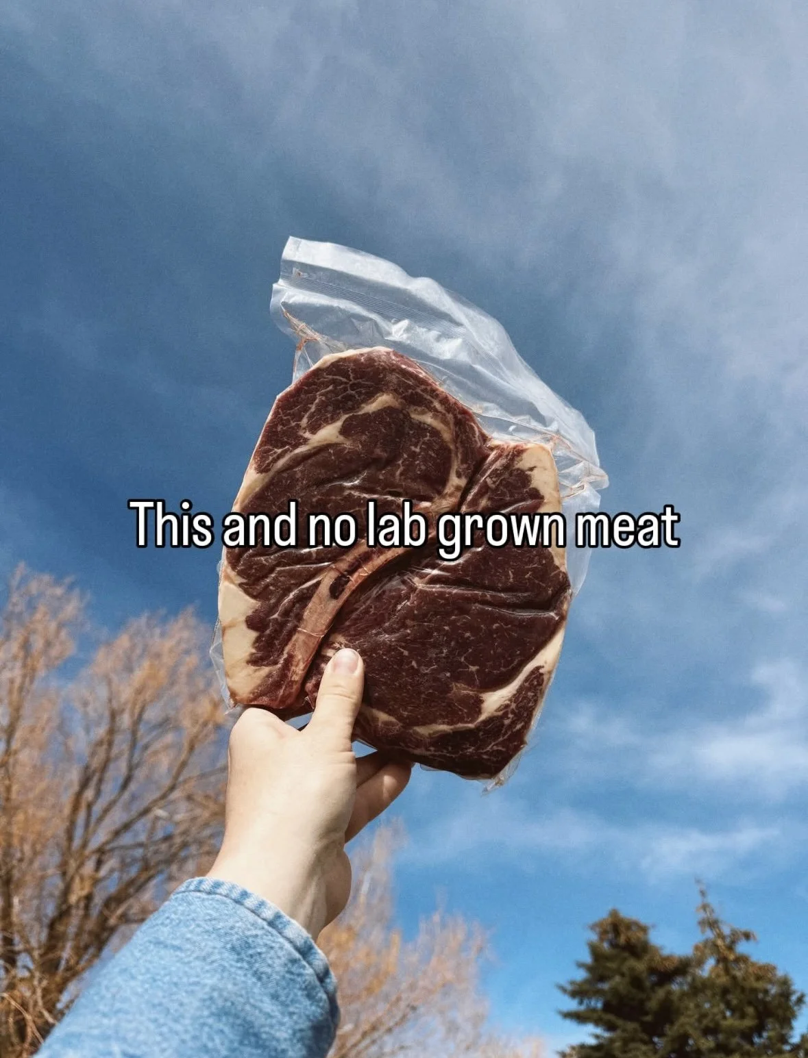 all natural beef