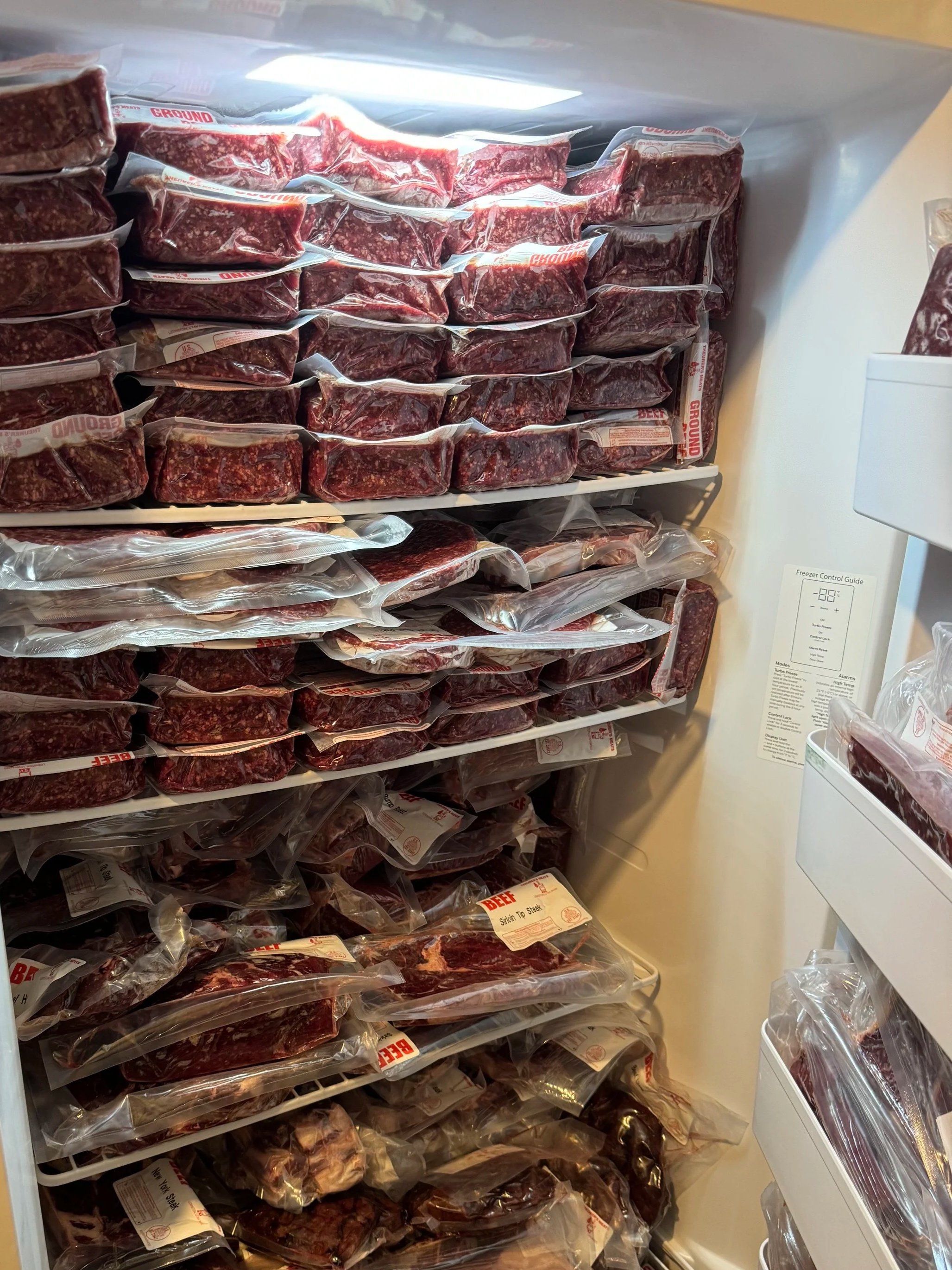 freezer bulk beef