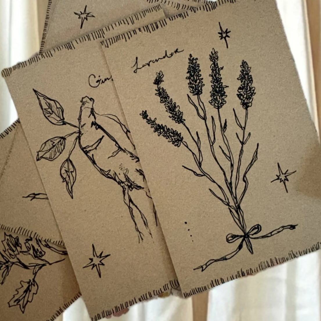 apothecary postcard set (for danielle, 2026)