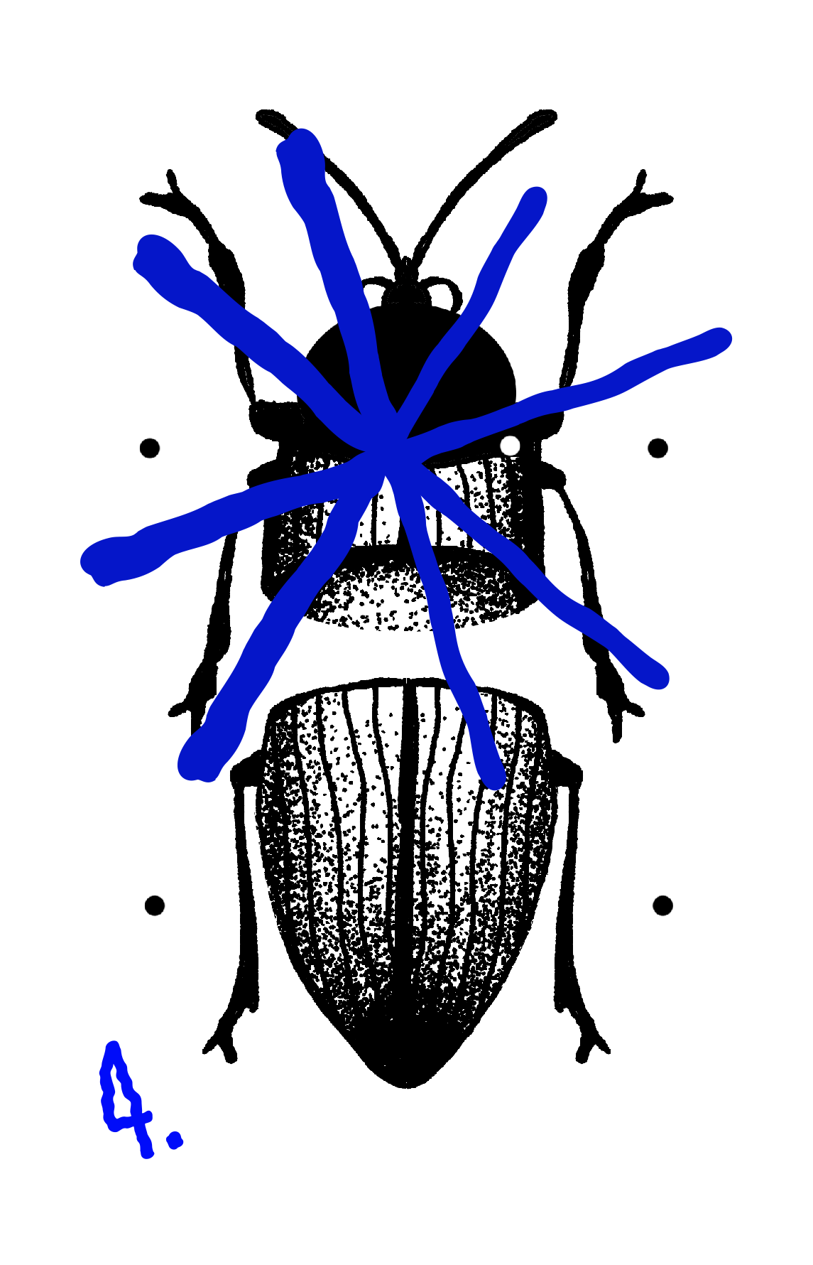 LERMONT_FLASH_4.png
