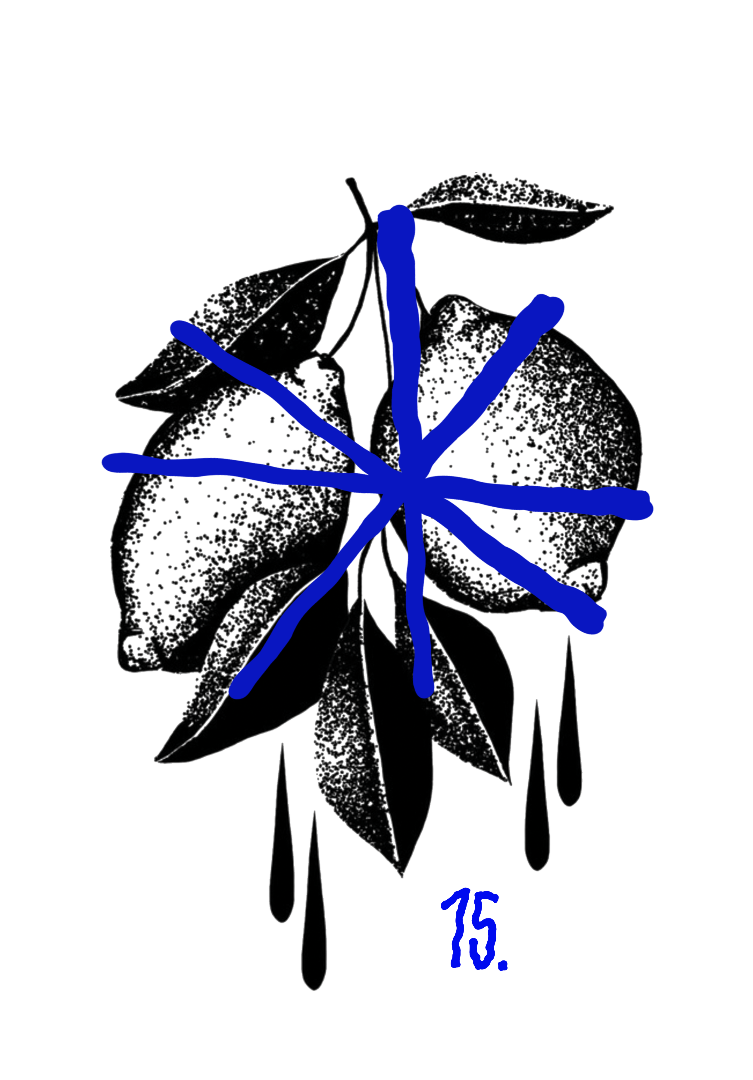 LERMONT_FLASH_15.png