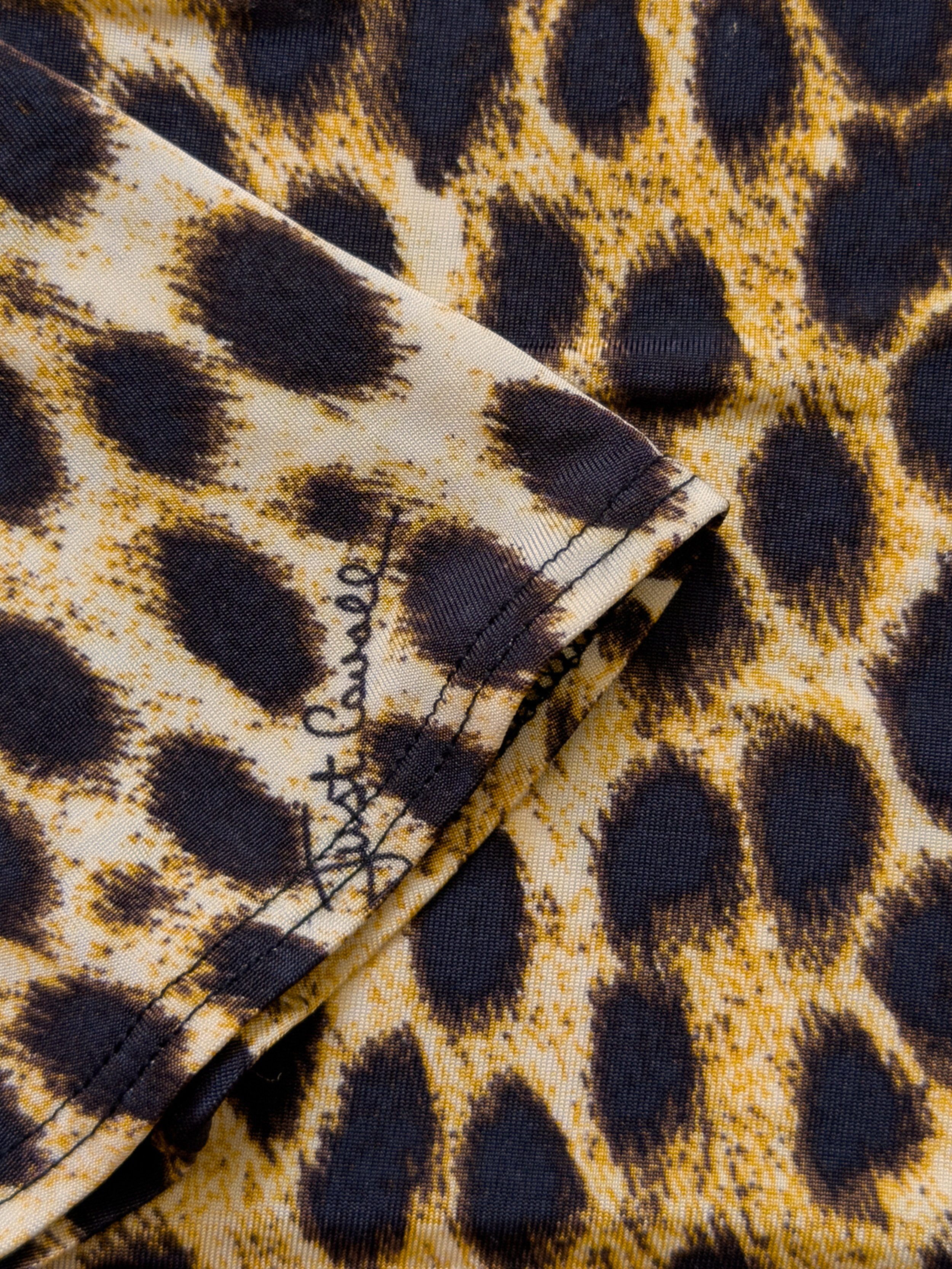 cheetah.png